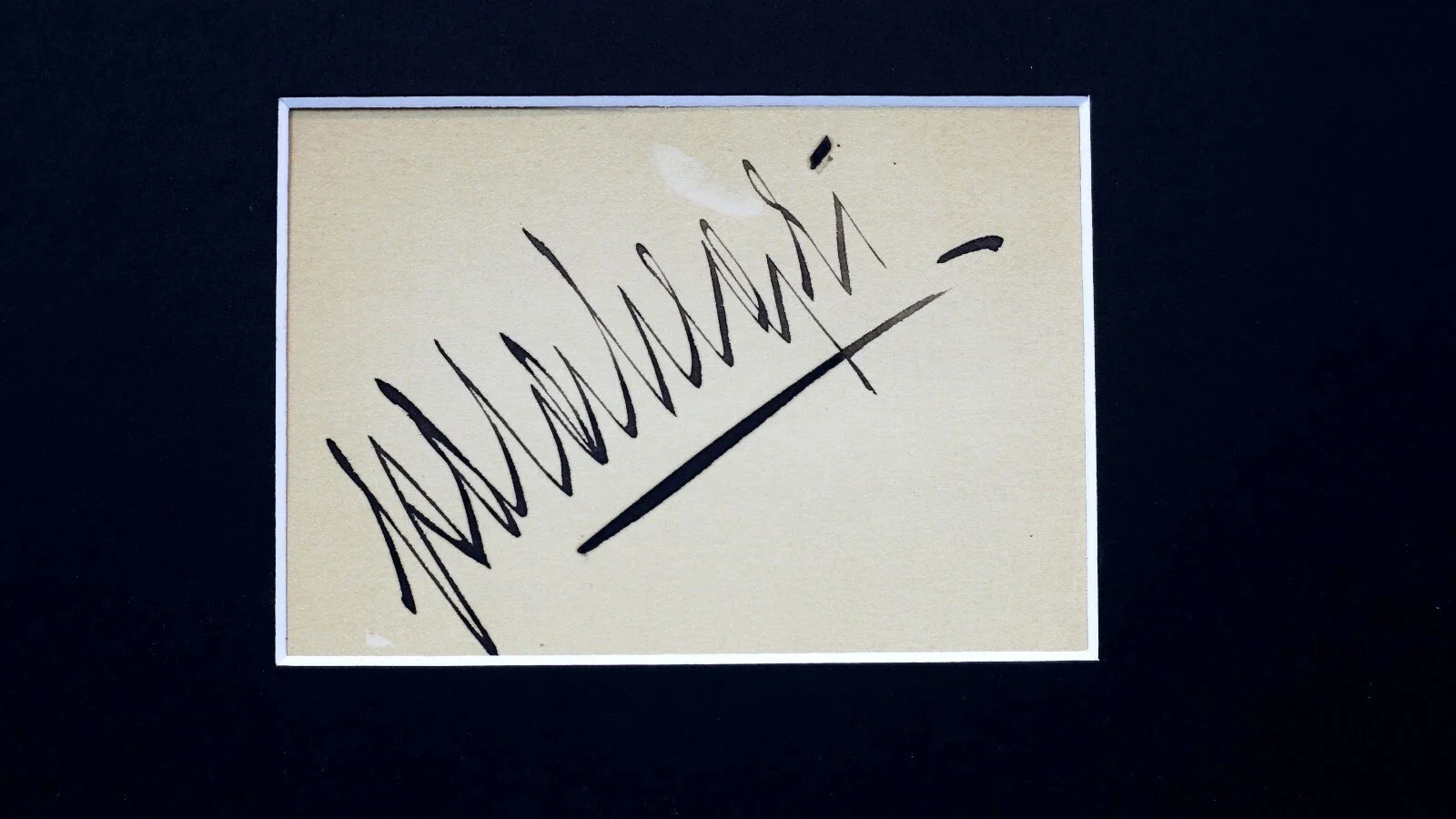 Pola Negri SIgned Photo Display 16x20 Framed, image 2