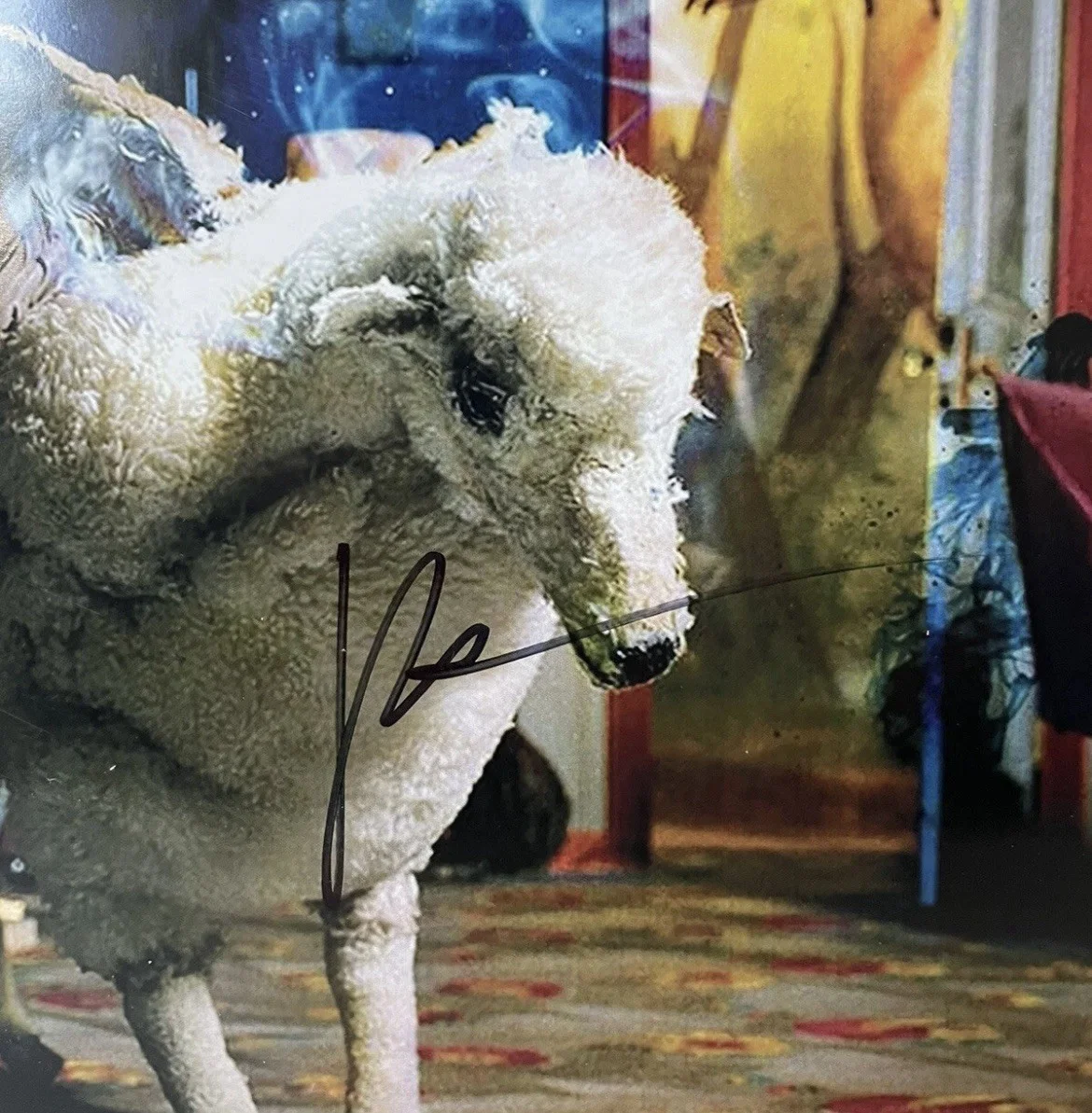 Fall Out Boy Patrick Stump Signed Infinity On High 12x12 Photo Proof, image 3