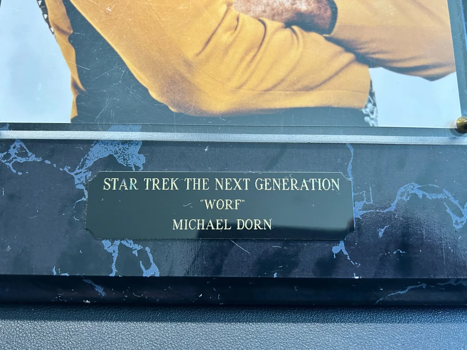 Michael Dorn Autographed Original 8x10 Photo, Star Trek TNG Worf Plaque, image 3