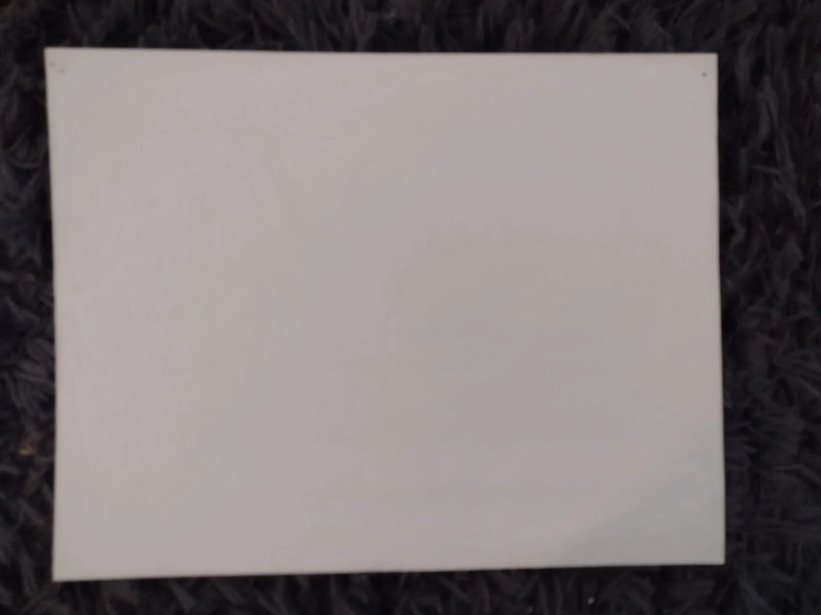 Autographed French Paper Lobby Display Karen Allen Raiders Of The Lost Ark w/COA, изображение 2