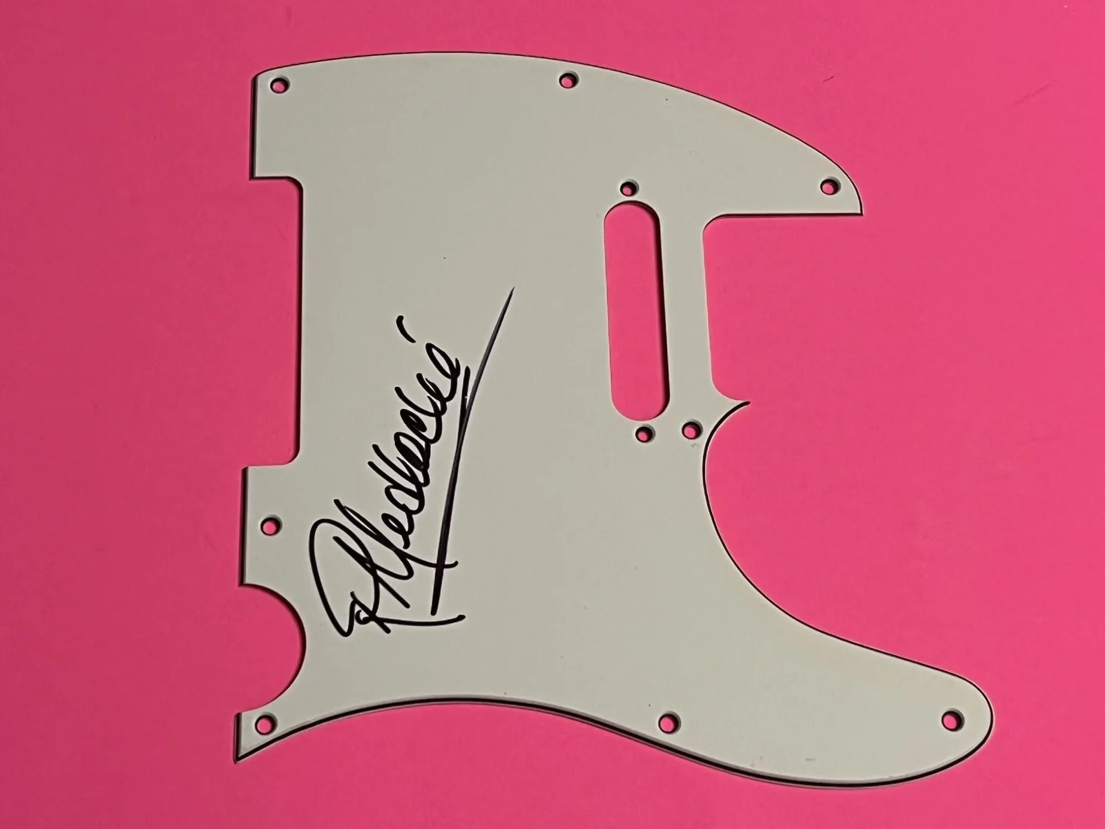 RICKEY MEDLOCKE LYNYRD SKYNYRD AUTOGRAPHED SIGNED GUITAR PICKGUARD *PROOF*, изображение 2