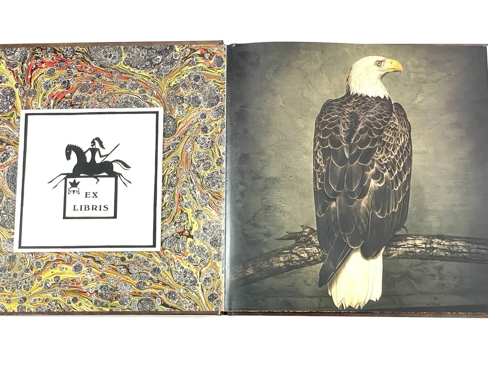 Clutch Autographed Limited Edition Book of Bad Decisions CD Hardcover Book ACOA, изображение 5