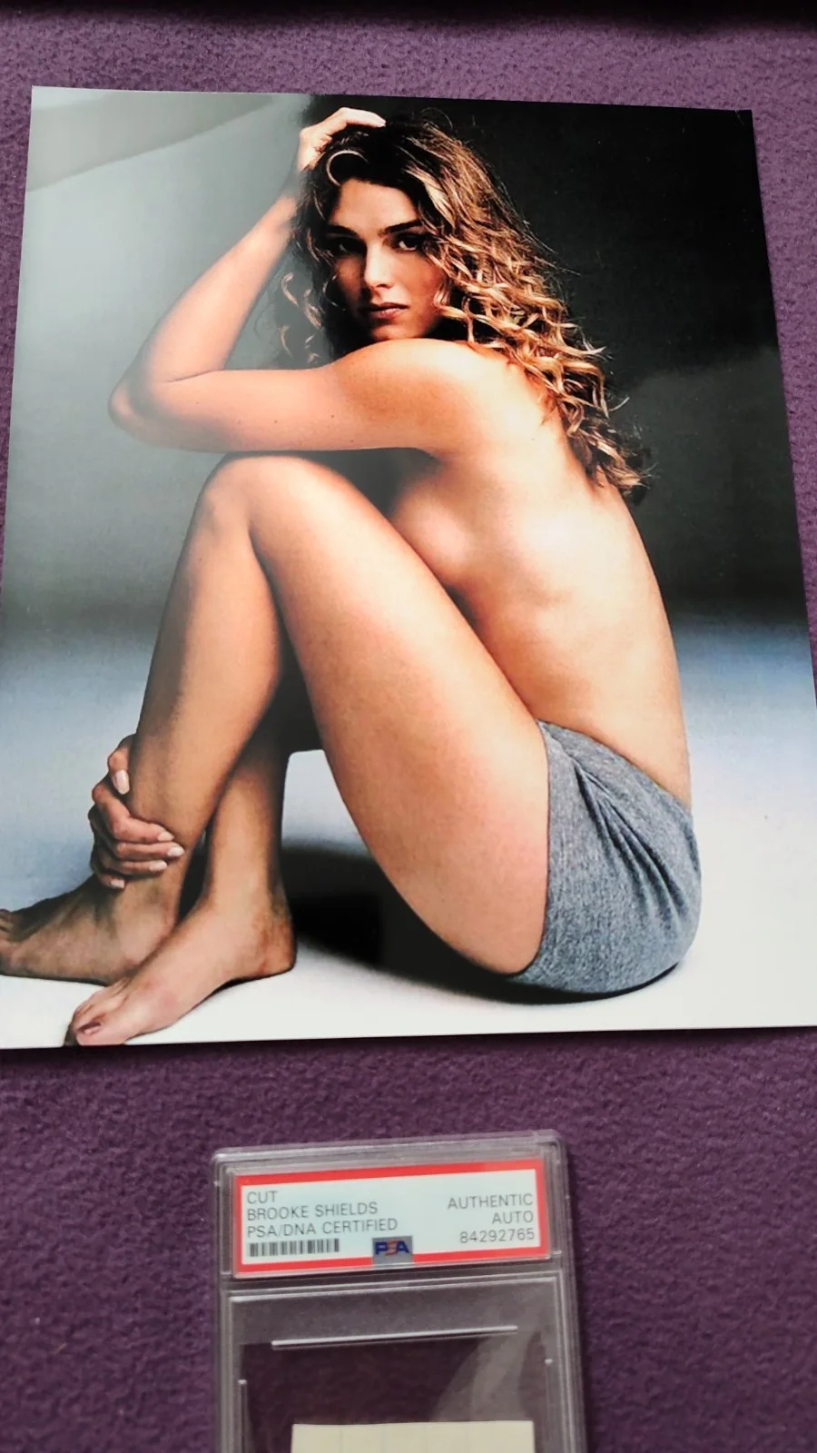 Brooke Shields — BROOKE SHIELDS Autograph Signed Signature Paper Cut & Photo PSA Authenticated, изображение 4