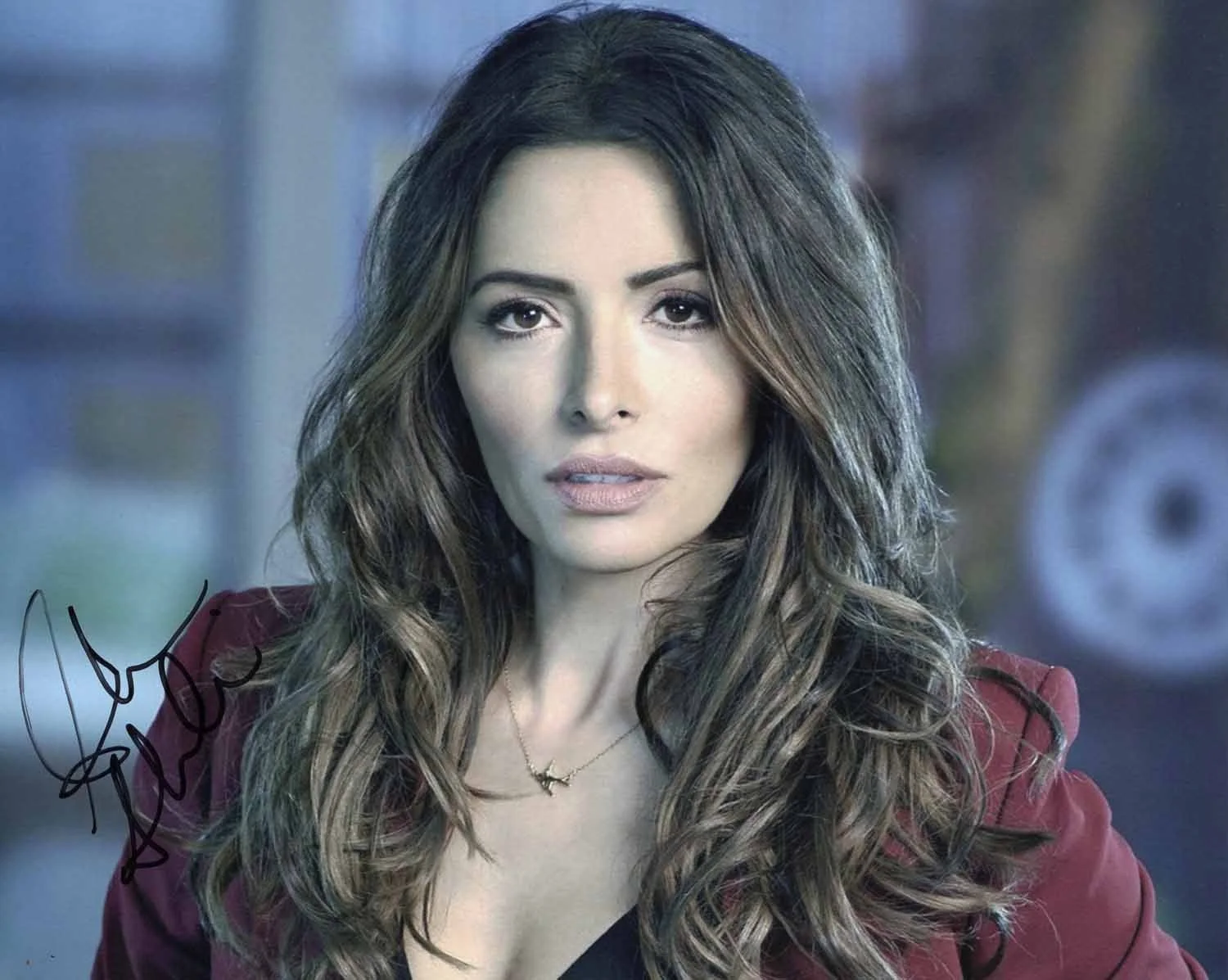 Sarah Shahi — Person Of Interest Sarah Shahi Signed 8x10 Photo COA Proof Photo