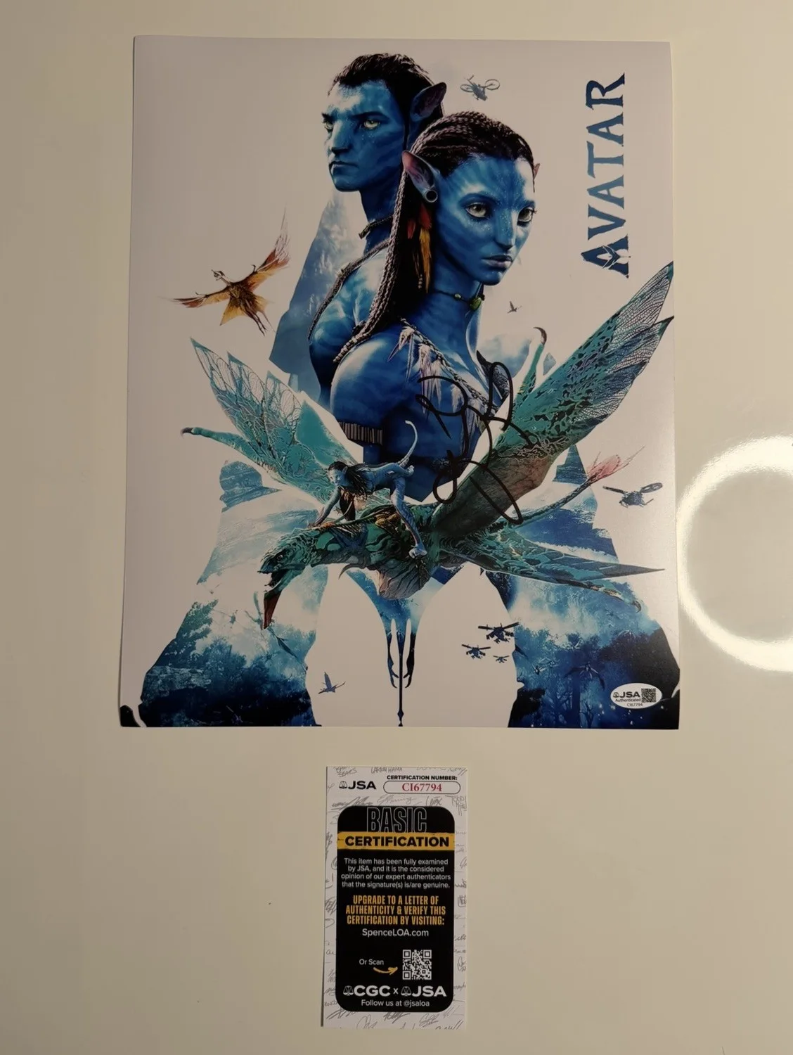 Zoe Saldana — Zoe Saldana Autographed 11x14 Photo Avatar Neytiri JSA COA