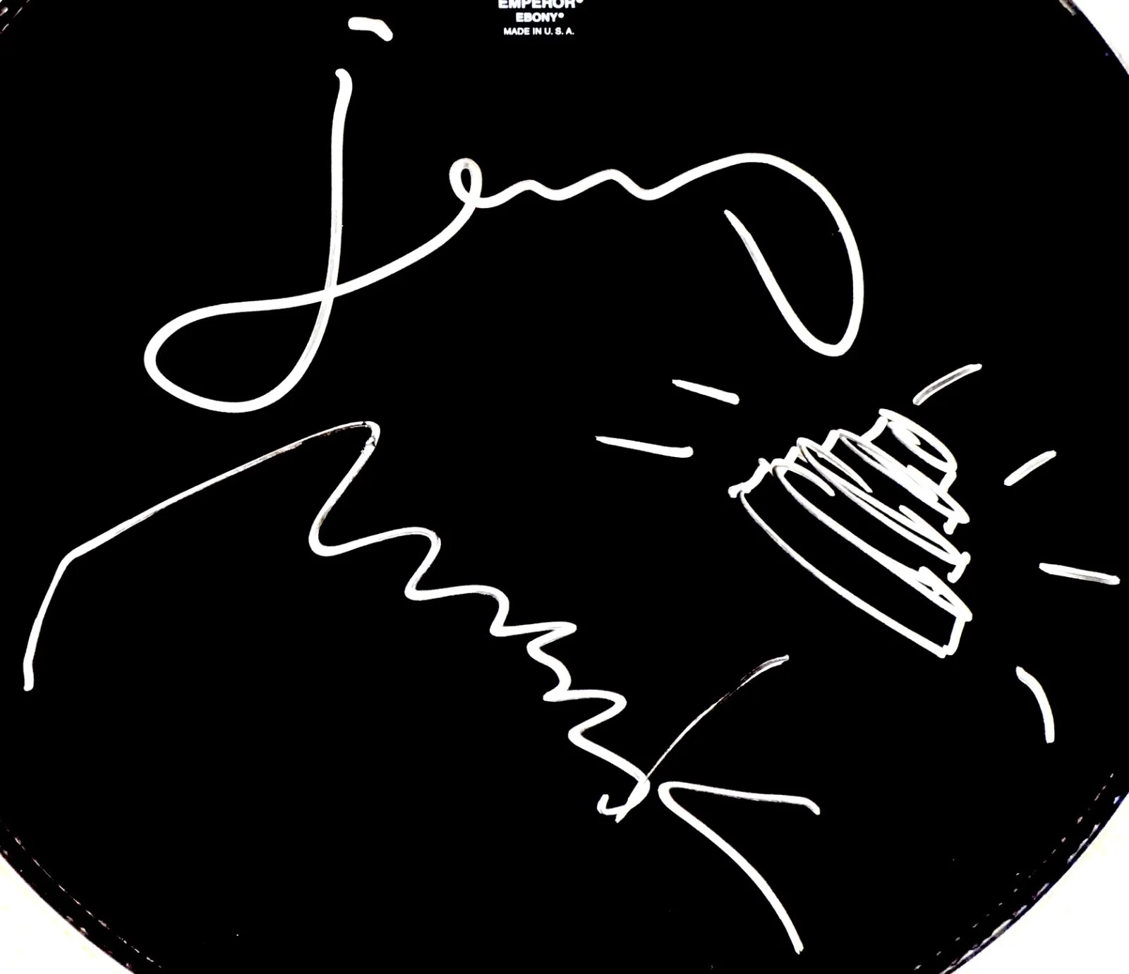 DEVO BAND HAND SIGNED AUTOGRAPHED DRUMHEAD WITH HAT SKETCH! RARE WITH PROOF +COA, image 2