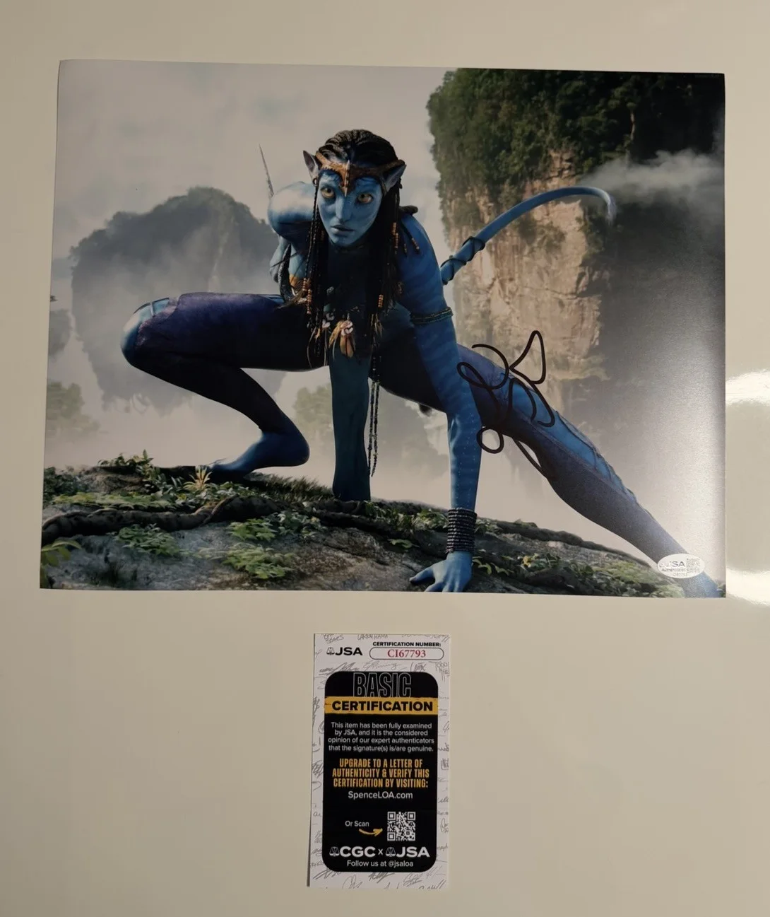 Zoe Saldana — Zoe Saldana Autographed 11x14 Photo Avatar Neytiri JSA COA