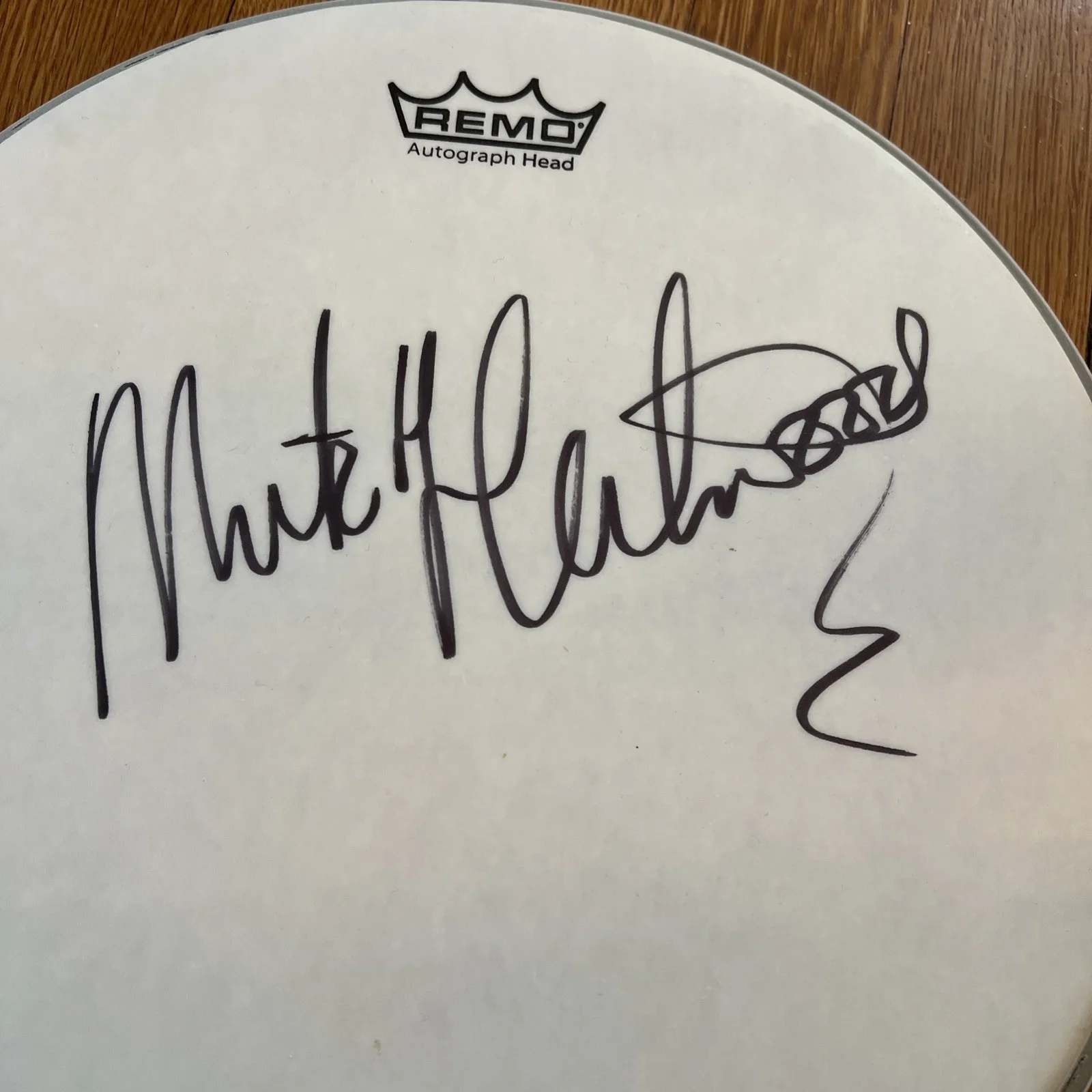 Mick Fleetwood — Mick Fleetwood Mac Signed Autograph Remo Drum Head Drumhead 12” No COA, image 3