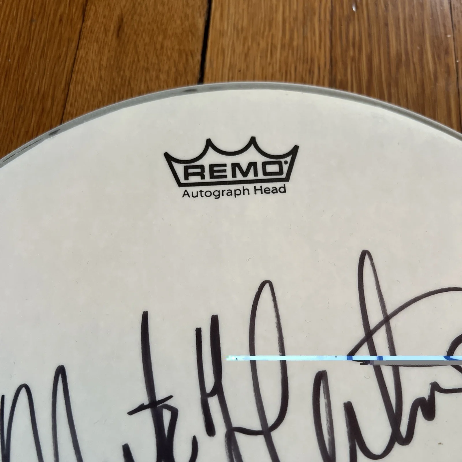 Mick Fleetwood — Mick Fleetwood Mac Signed Autograph Remo Drum Head Drumhead 12” No COA, image 4