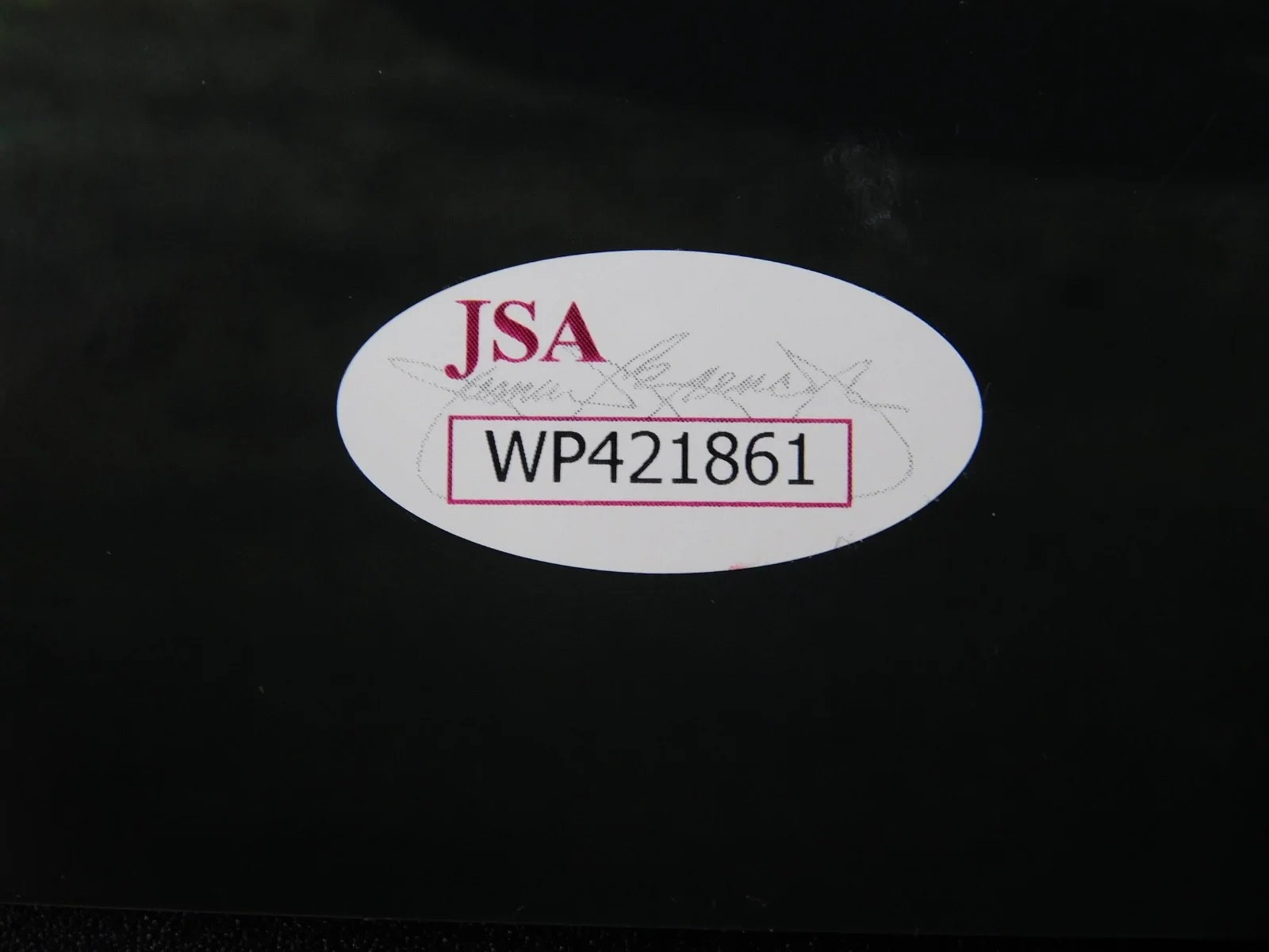 Jason David Frank — Jason David Frank Signed/Autographed 11x14 Photo Bloodshot JSA, изображение 3