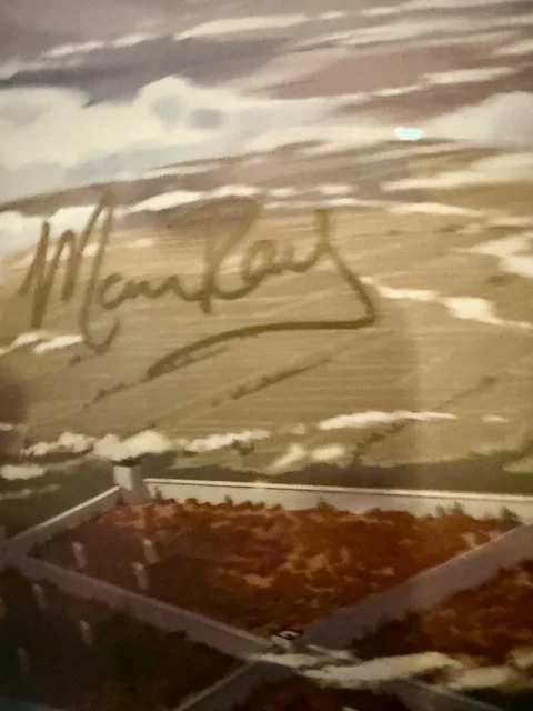 Entire Critical Role Cast — Critical Role Legend of Vox Machina Kickstarter SIGNED Poster - Custom Framed, image 4