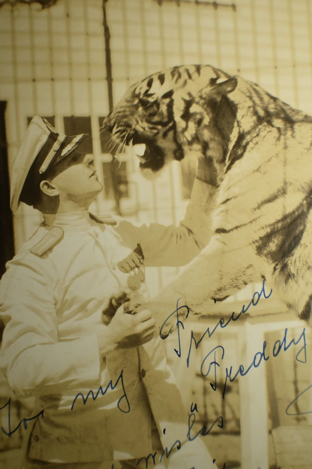 1935 Captain Proske, Lion Tamer Hand Signed Photo, изображение 2