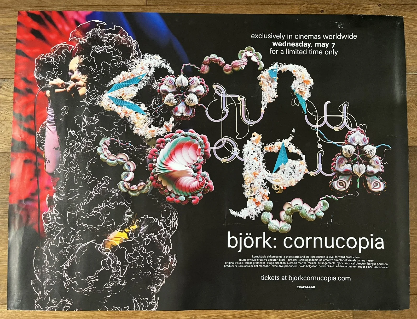 Björk: Cornucopia (2025), Original UK Cinema Quad Poster 30"x40", изображение 3