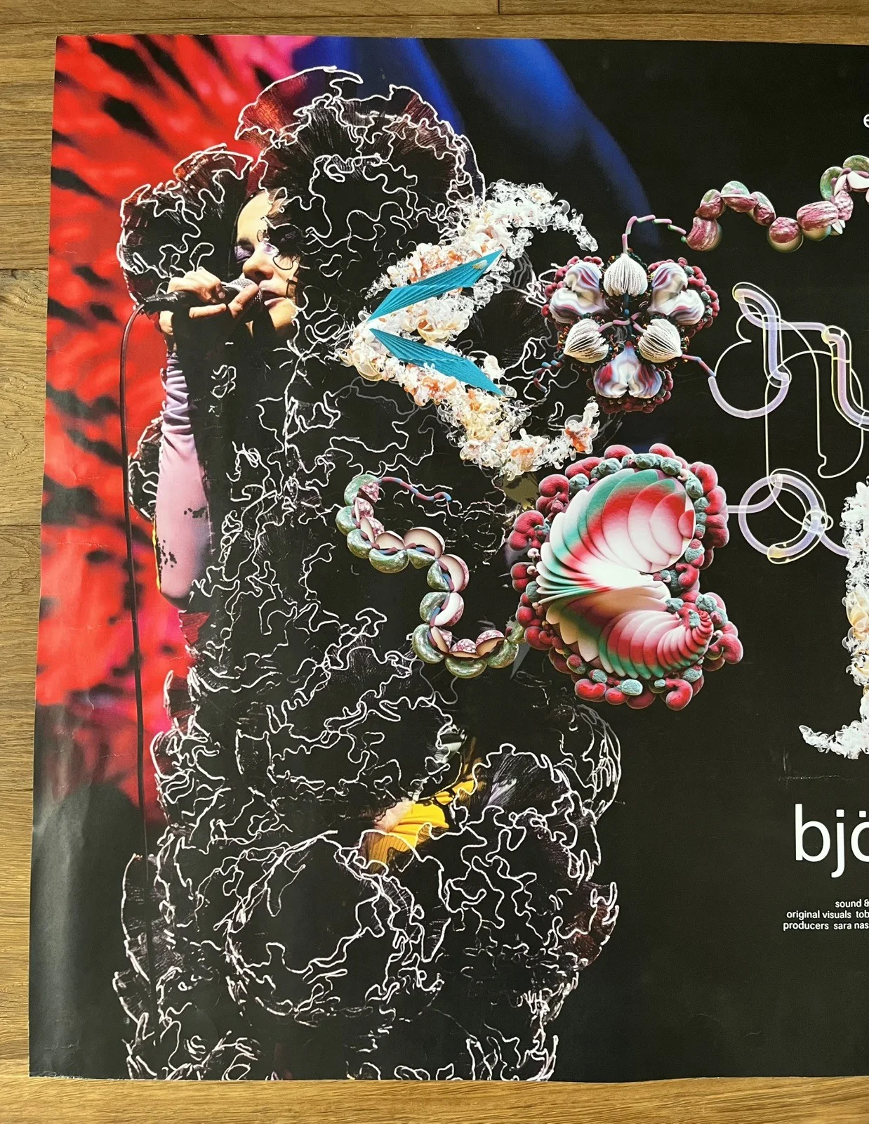 Björk: Cornucopia (2025), Original UK Cinema Quad Poster 30"x40", изображение 4