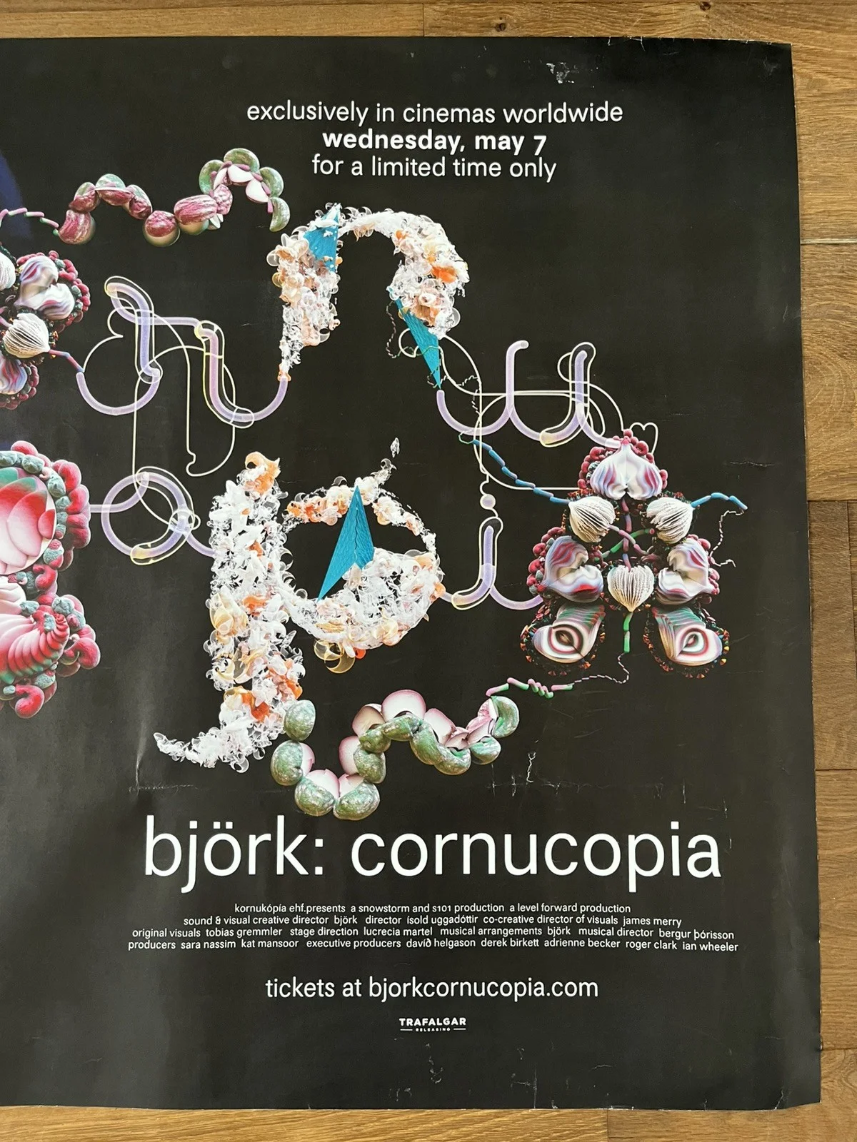 Björk: Cornucopia (2025), Original UK Cinema Quad Poster 30"x40", изображение 5