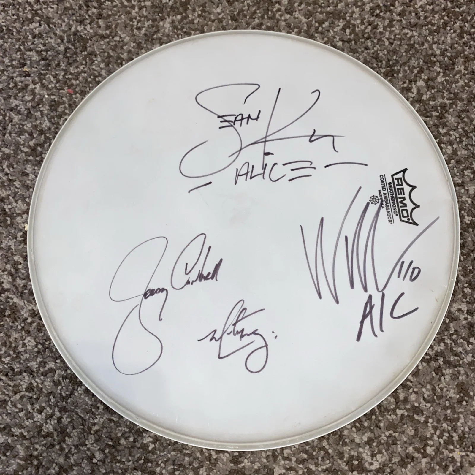 Alice In Chains Signed Drumhead – REMO – All 4 Band Members Autographs! Rare, изображение 2