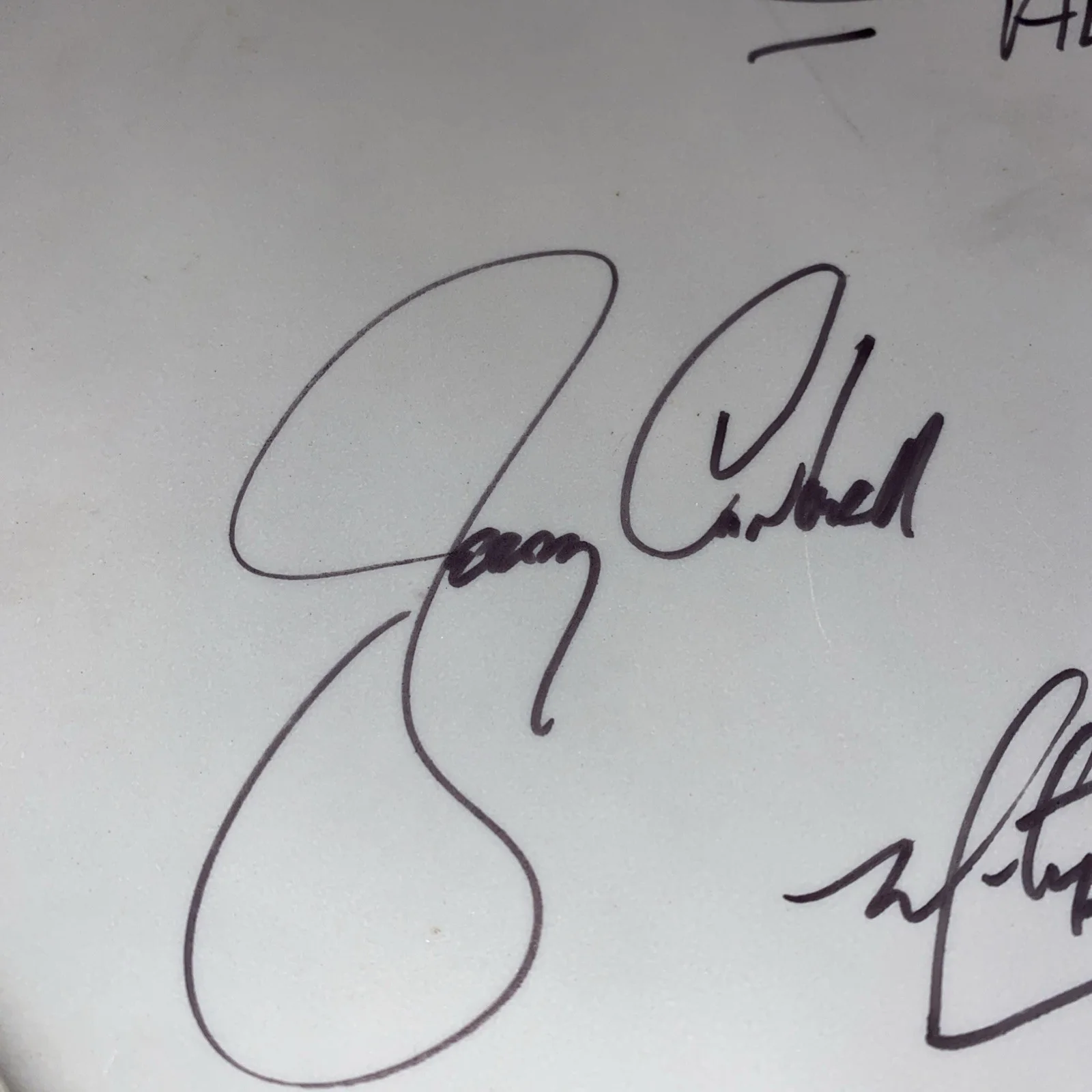 Alice In Chains Signed Drumhead – REMO – All 4 Band Members Autographs! Rare, изображение 4
