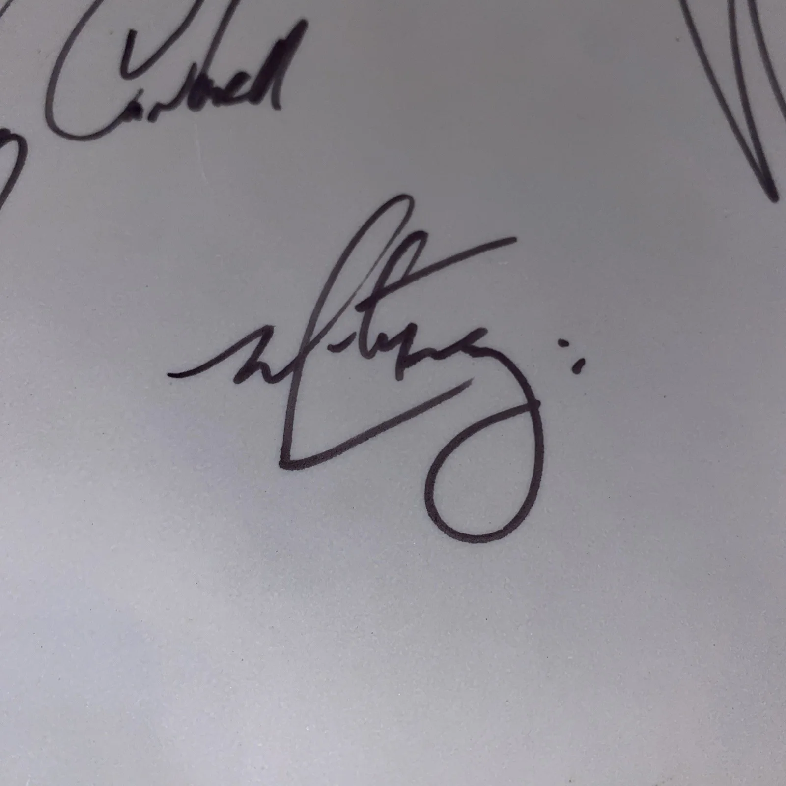 Alice In Chains Signed Drumhead – REMO – All 4 Band Members Autographs! Rare, изображение 5