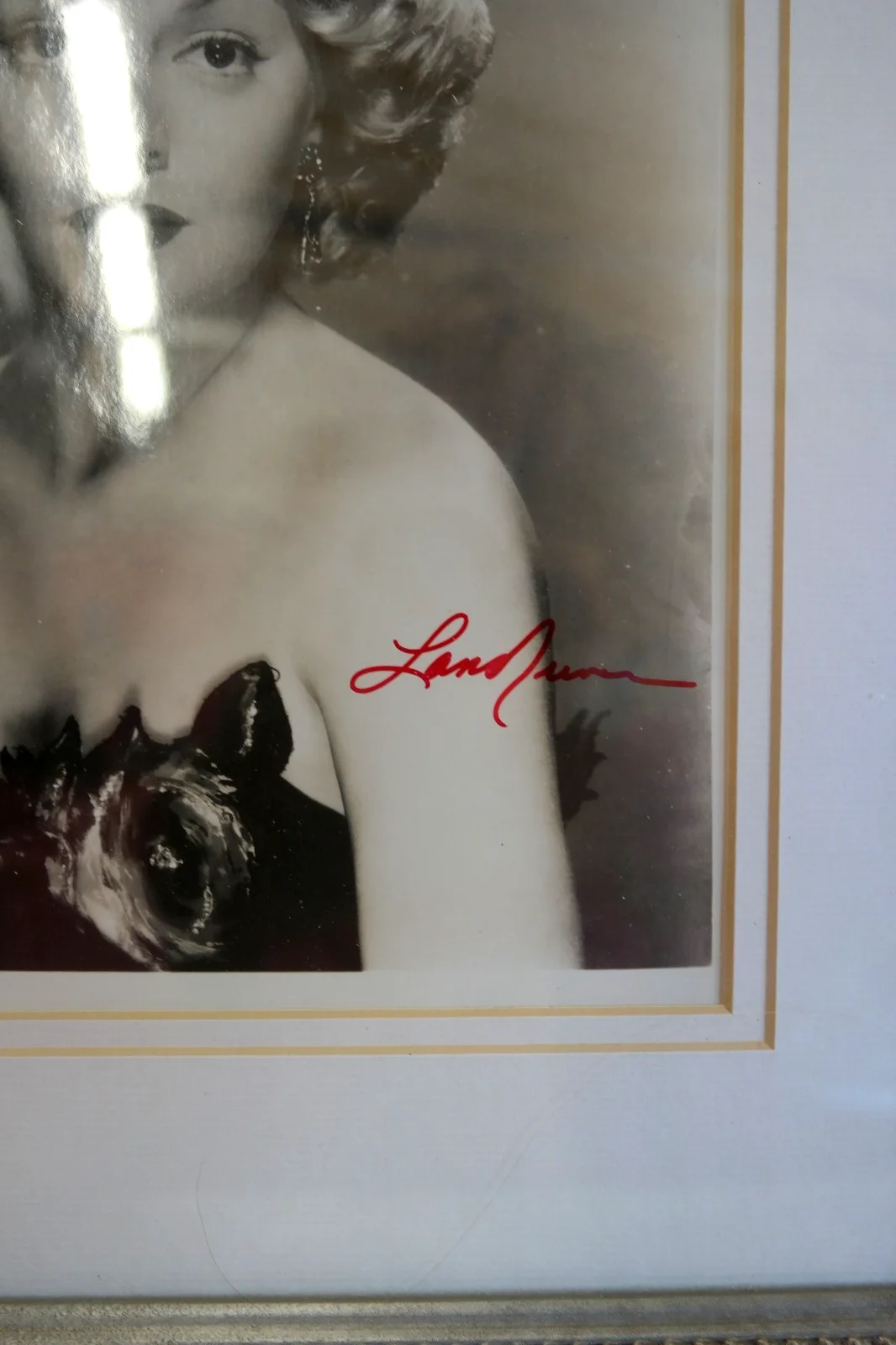 LANA TURNER - 1950s Hollywood Beauty - Autographed Framed Bl/Wh Photo, изображение 2