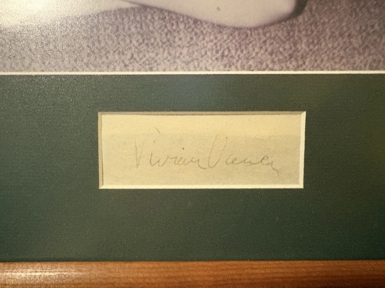 Vivian Vance Signed Framed Picture, image 3