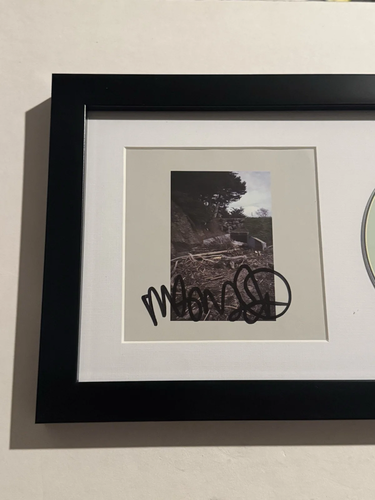 MAC DEMARCO SIGNED AUTOGRAPHED FRAMED MATTED CD INDIE SINGER COA, image 2