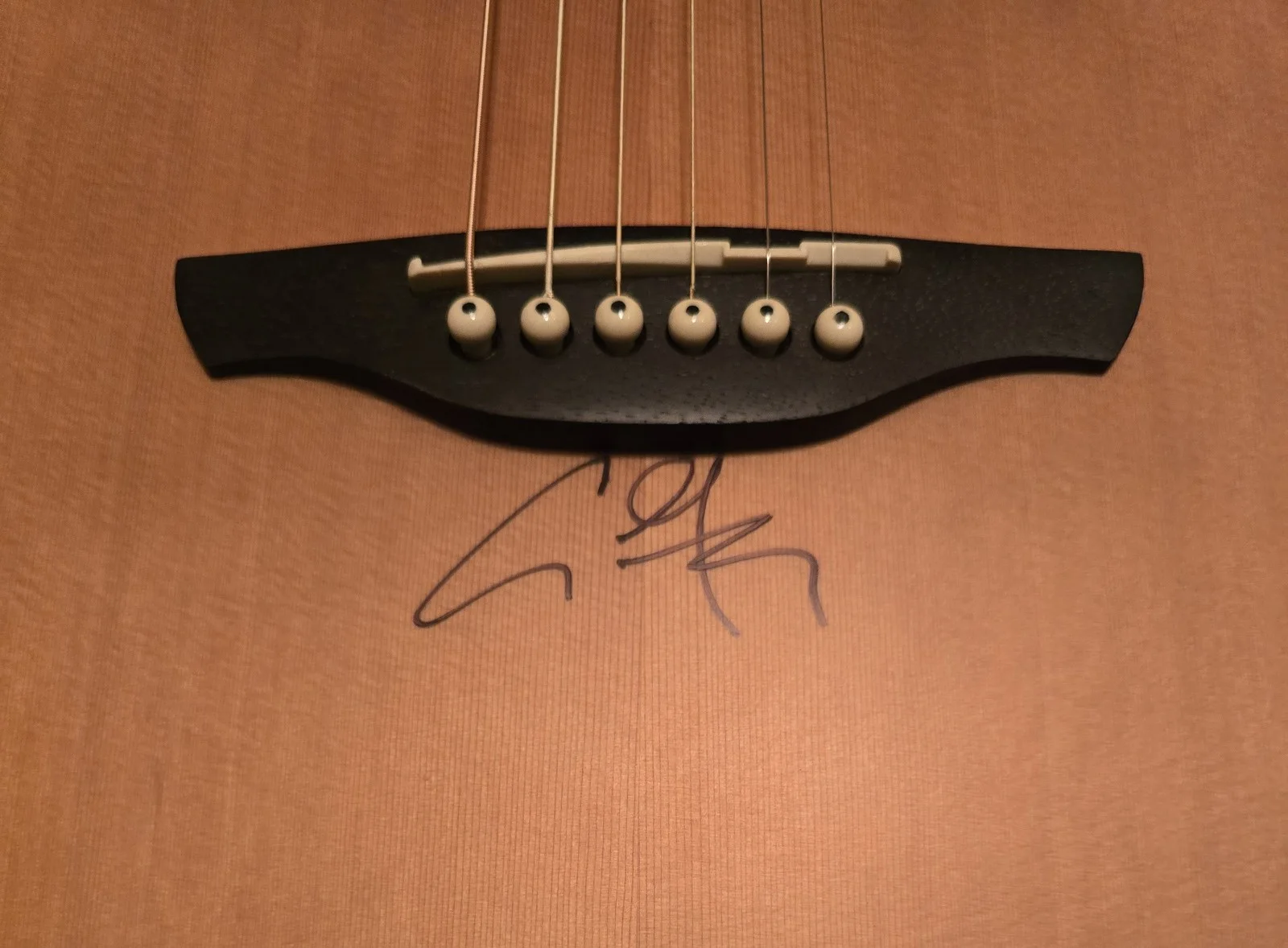Signed Guitar Anthony Green, изображение 2