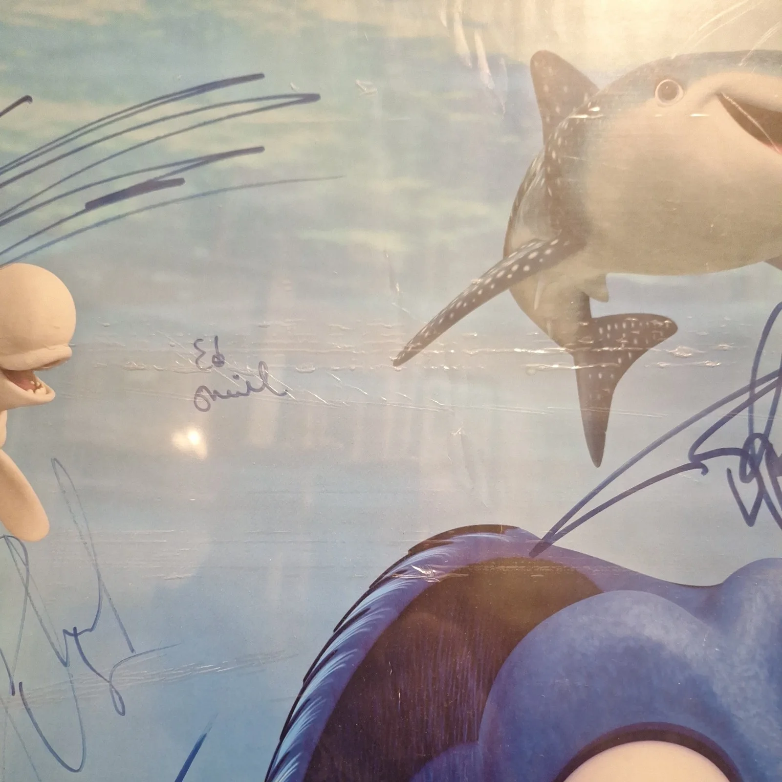 Ellen DeGeneres — FINDING DORY SIGNED 15X POSTER, DEGENERES,ONEIL,KEATON,WEAVER,GARRETT,BROOKS ++, image 4