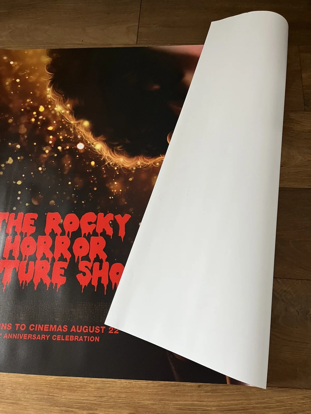 The Rocky Horror Picture Show 50th Anniversary Original UK Quad Cinema Poster, изображение 3