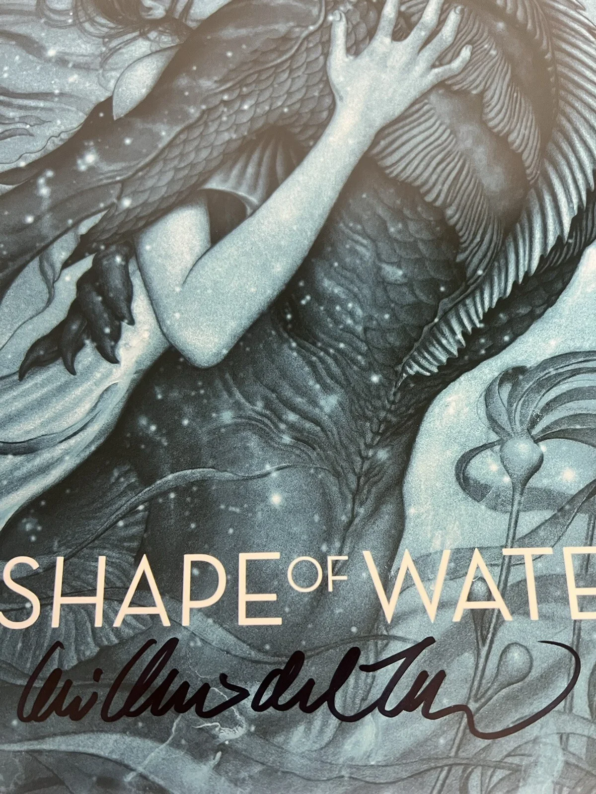 GUILLERMO DEL TORO — GUILLERMO DEL TORO SIGNED THE SHAPE OF WATER 12x18 BAS BJ08189, image 2