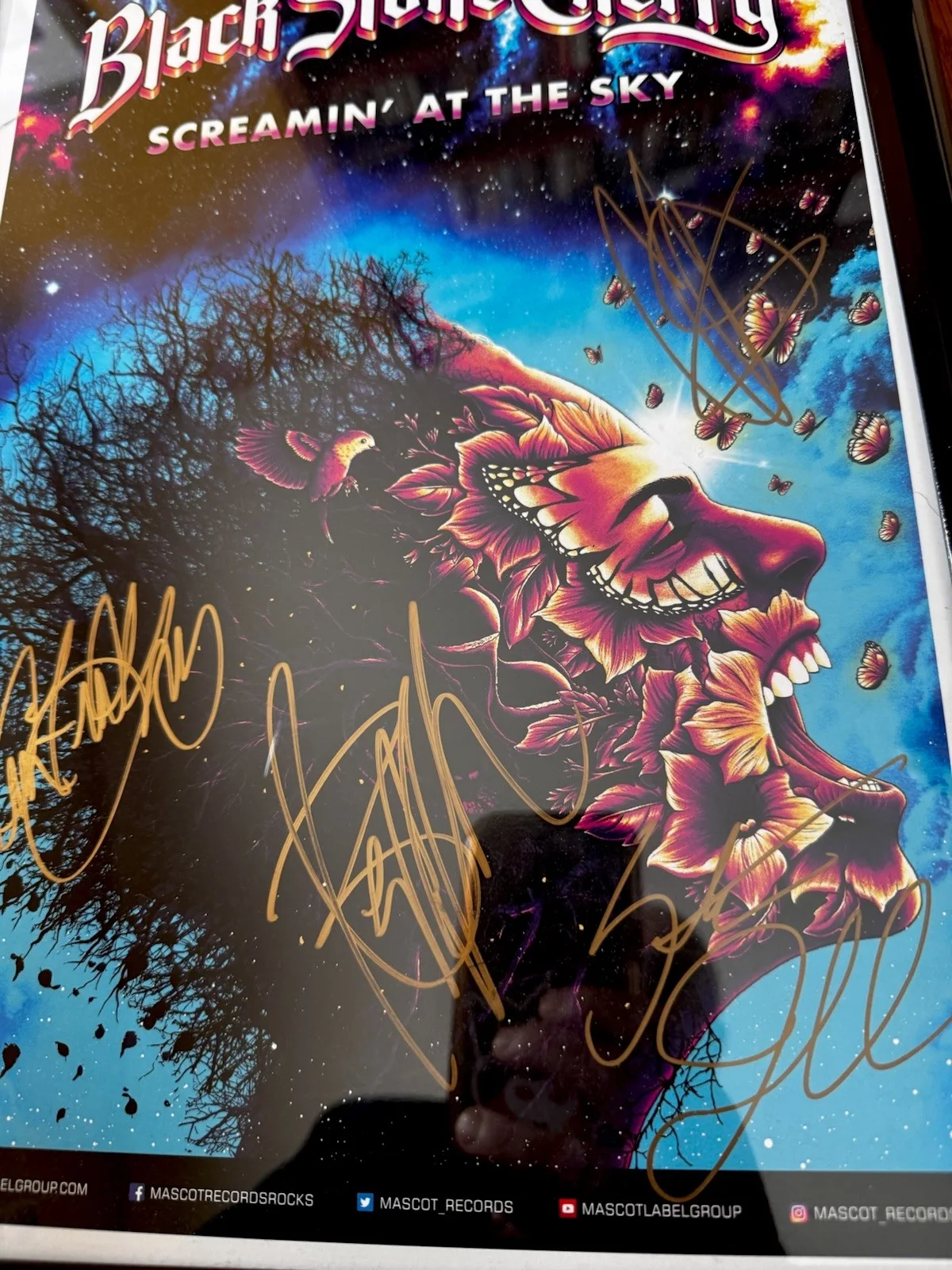 Black Stone Cherry Screaming At The Sky Signed Promo Poster Autograph All 4, изображение 2