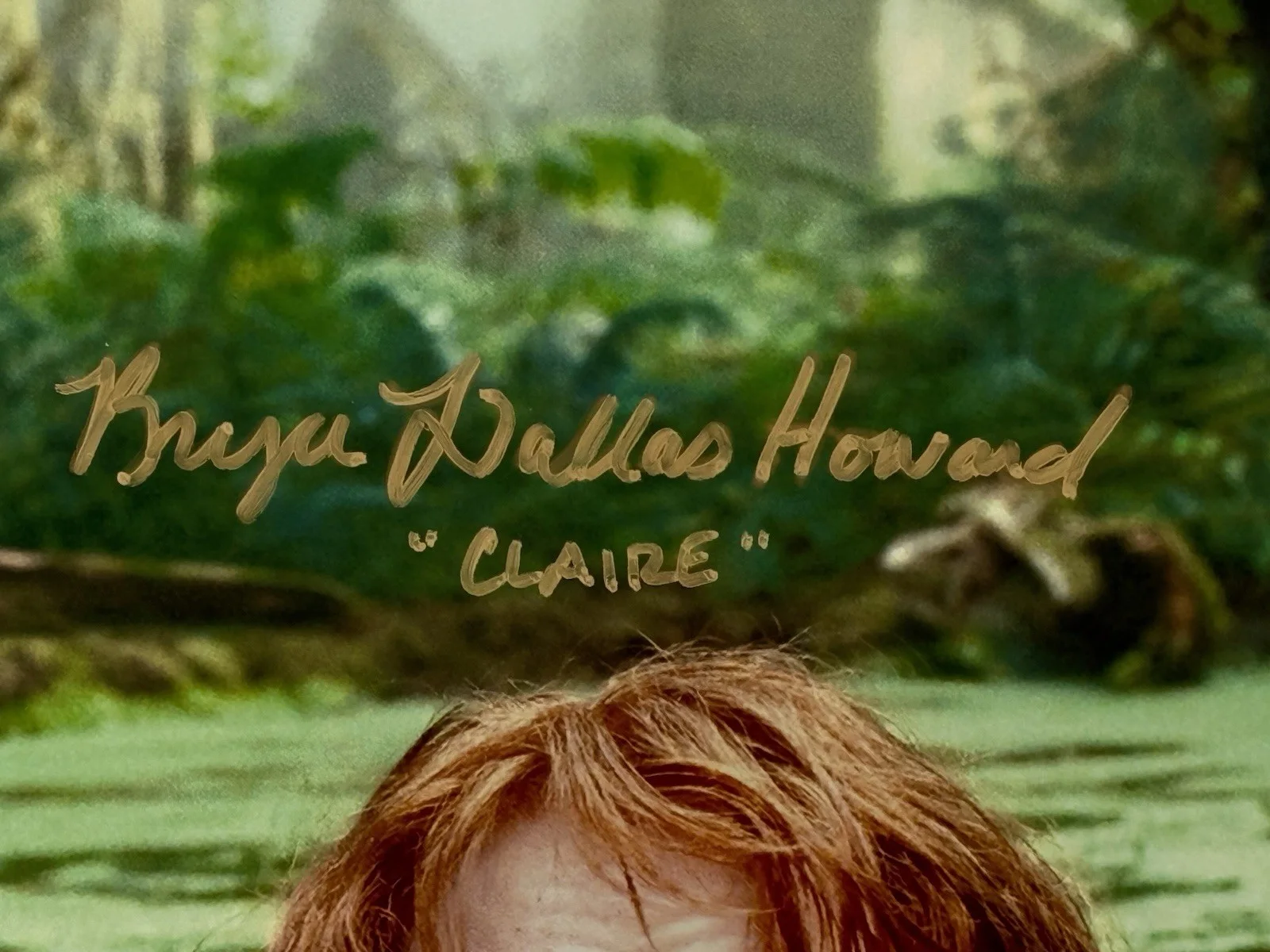 Bryce Dallas Howard — Bryce Dallas Howard Jurassic World Signed 11x14 Photo Claire ACOA Autograph, изображение 2