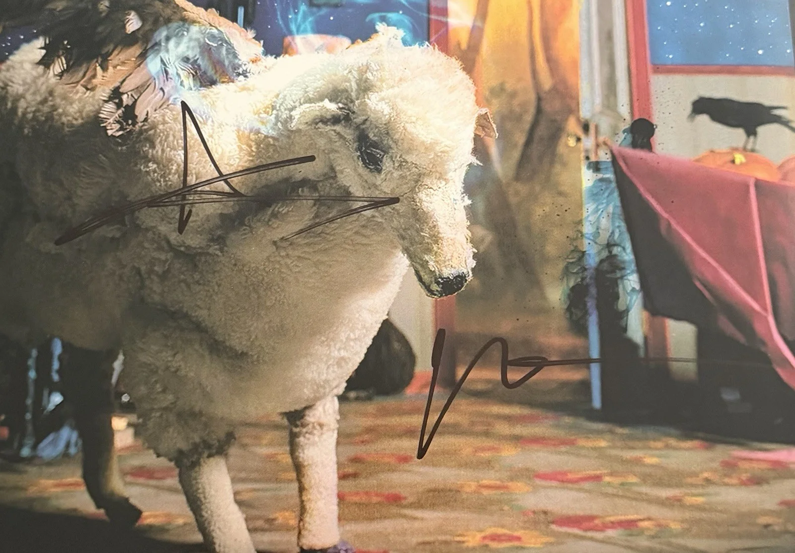FALL OUT BOY SIGNED INFINITY ON HIGH VINYL RECORD PATRICK STUMP + ANDY w/JSA COA, image 2