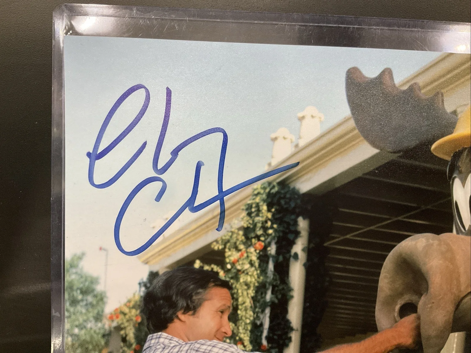 Chevy Chase Signed 11x14 Photo National Lampoon's Vacation Beckett MOOSE, image 2