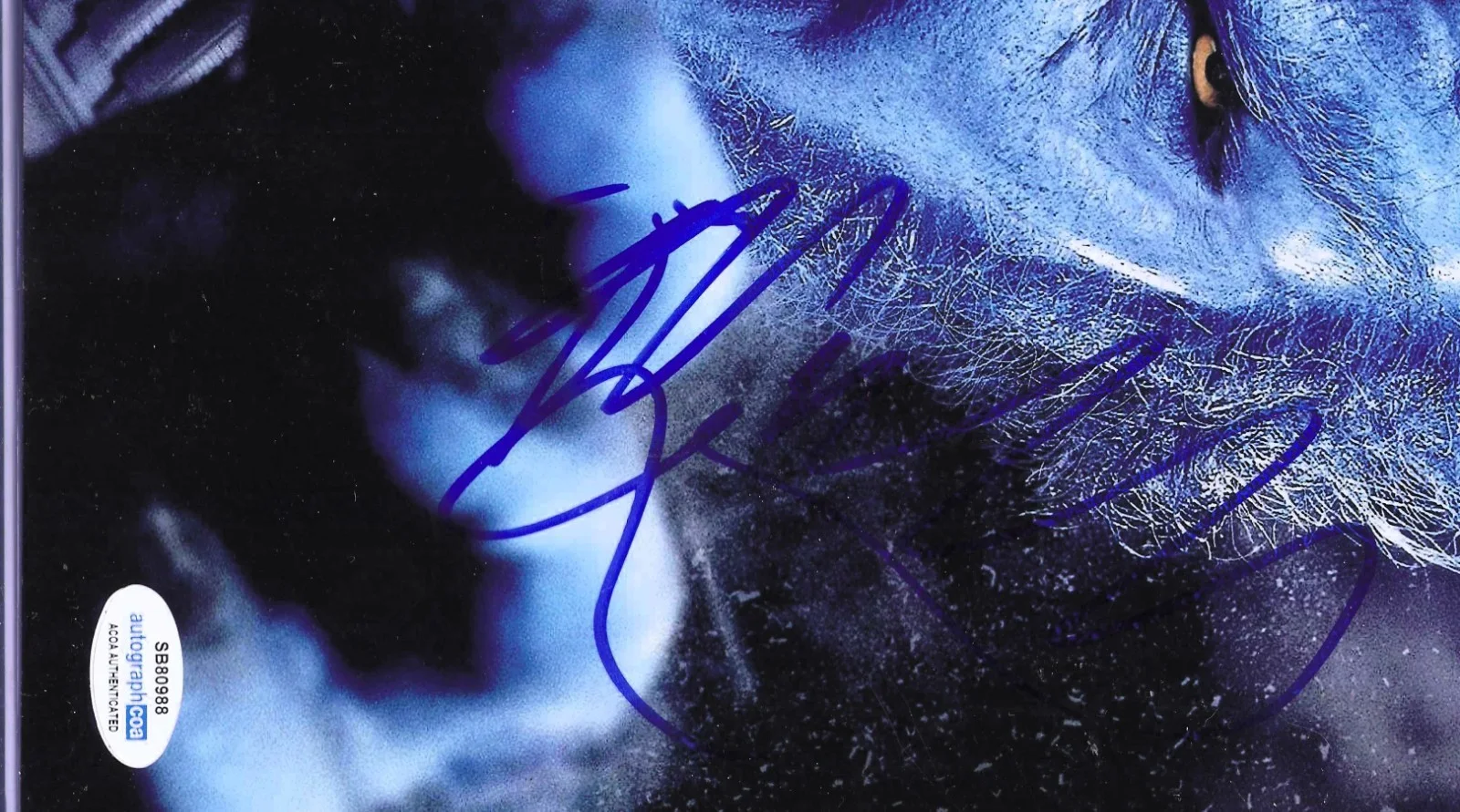 Nicholas Hoult — 11x14 X-MEN The BEAST signed by Nicholas Hoult, image 2
