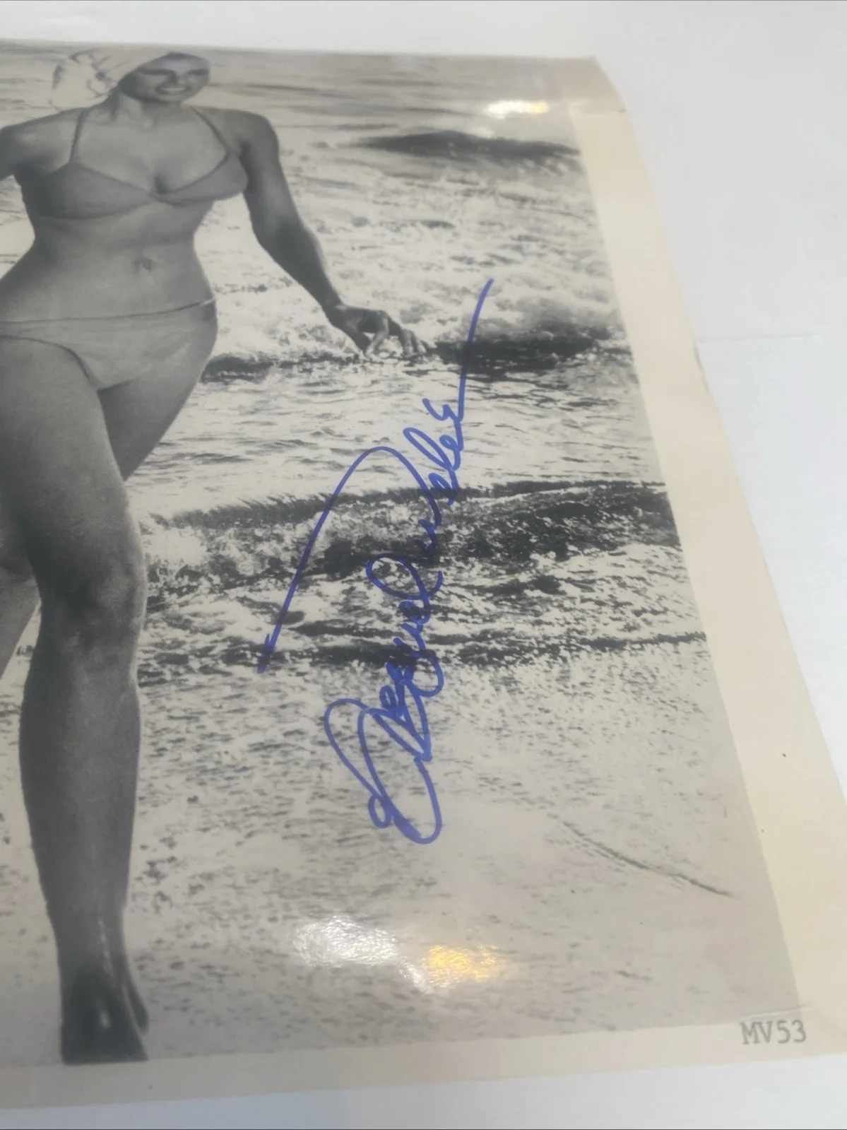 Raquel Welch — Original Raquel Welch Autographed Photo Near Mint Condition, image 2