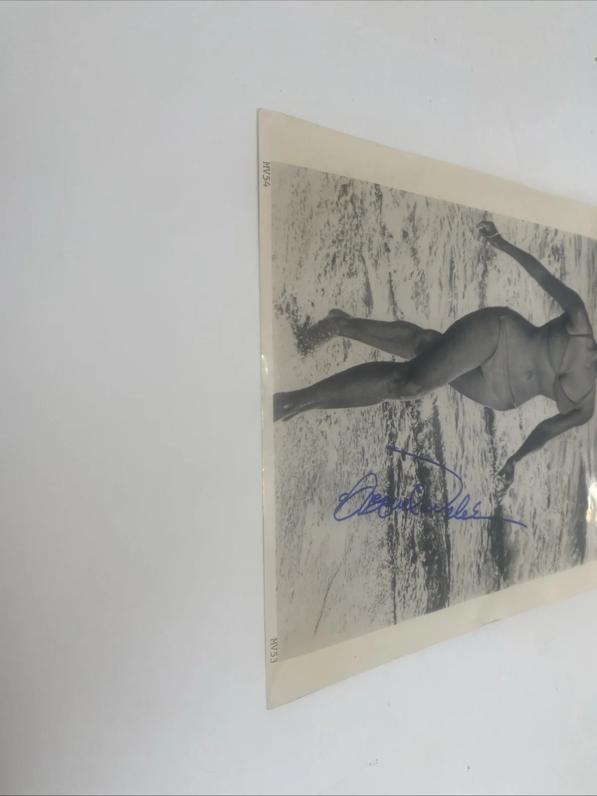 Raquel Welch — Original Raquel Welch Autographed Photo Near Mint Condition, image 4