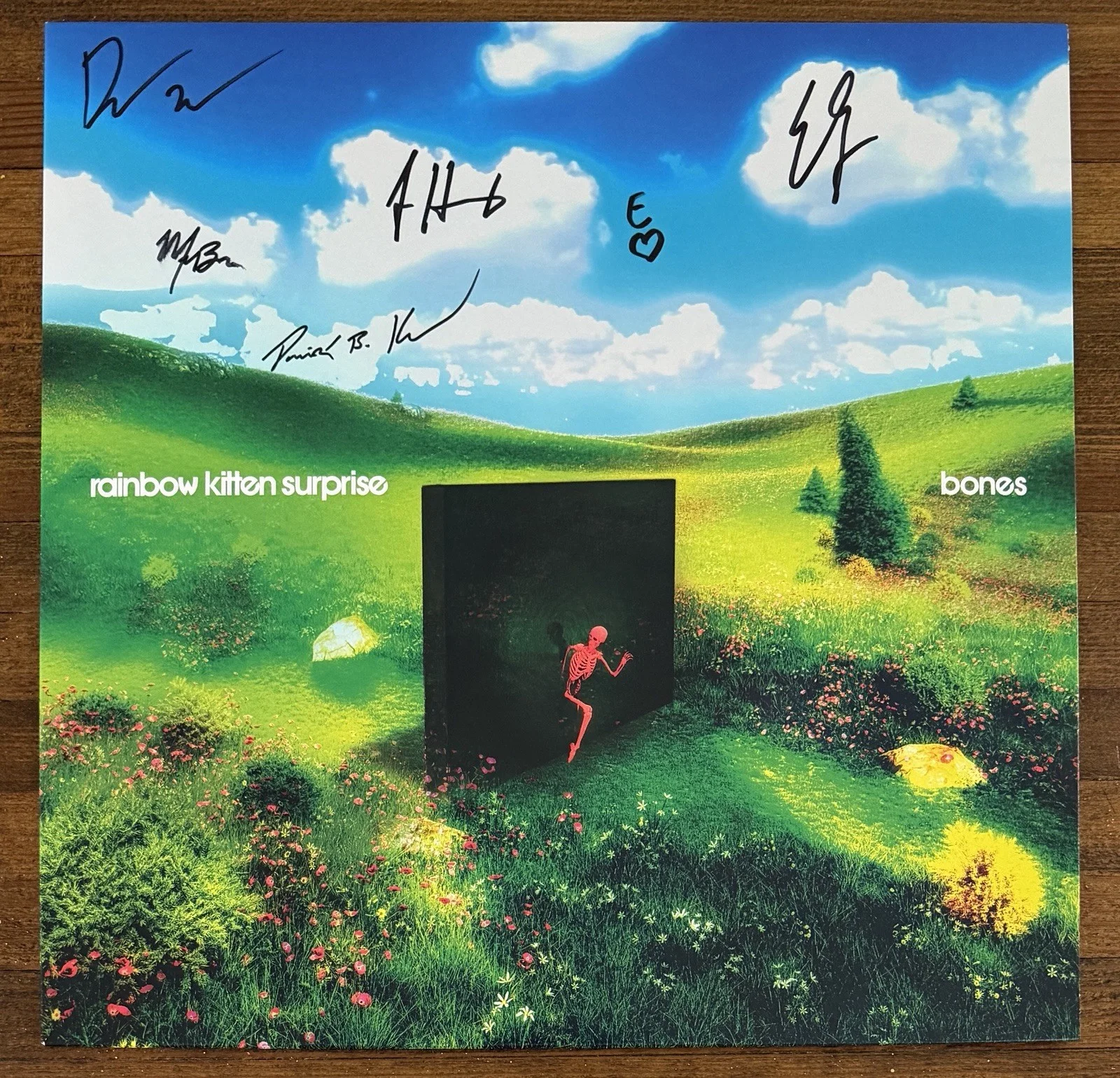 Rainbow Kitten Surprise — Rainbow Kitten Surprise BAND SIGNED Bones Clear Blue Vinyl LP Beckett BAS COA, image 3