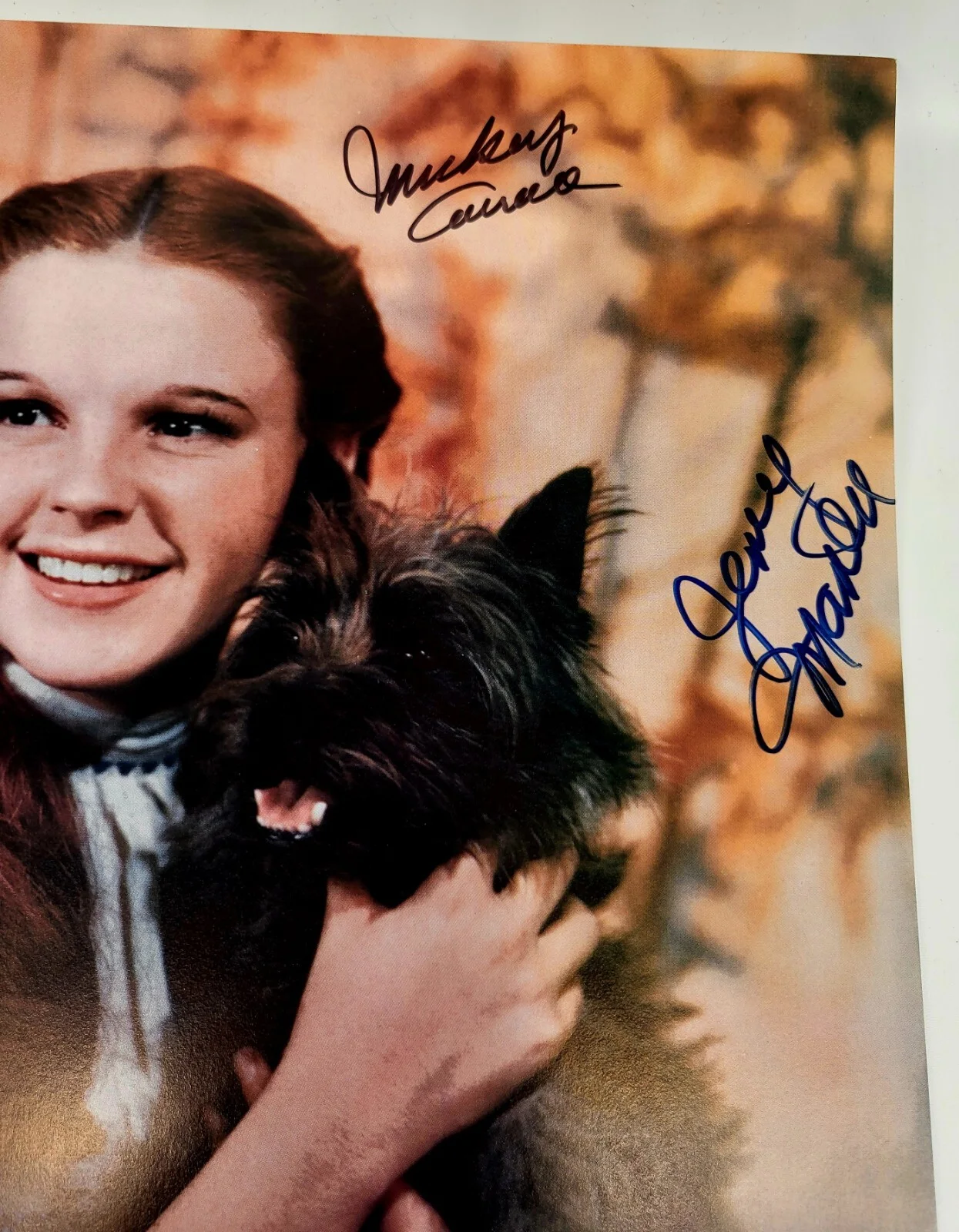 Mickey Carroll — JSA COA Wizard Of Oz SIGNED 11x14 Photo Mickey Carroll Jerry Maren Slover DORTHY, изображение 3