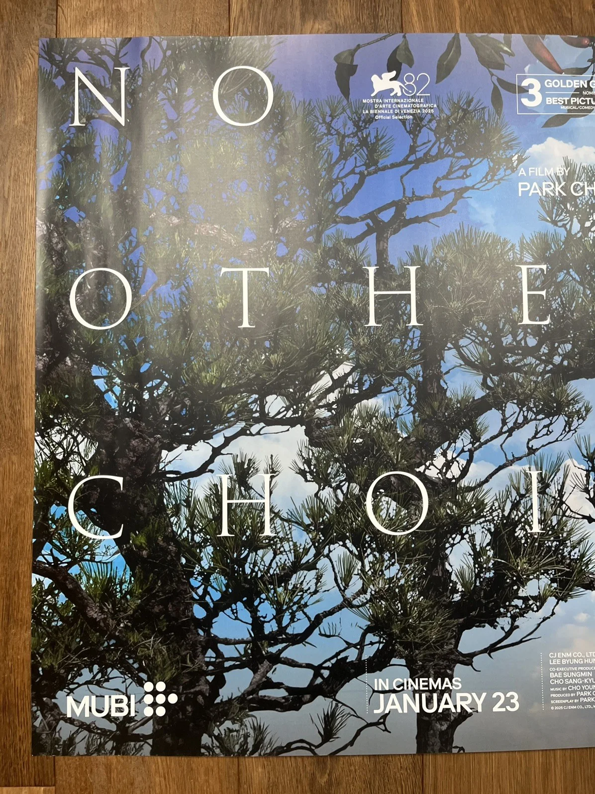 No Other Choice (2025), Park Chan-wook, Original UK Cinema Quad Poster 30"x40", изображение 3