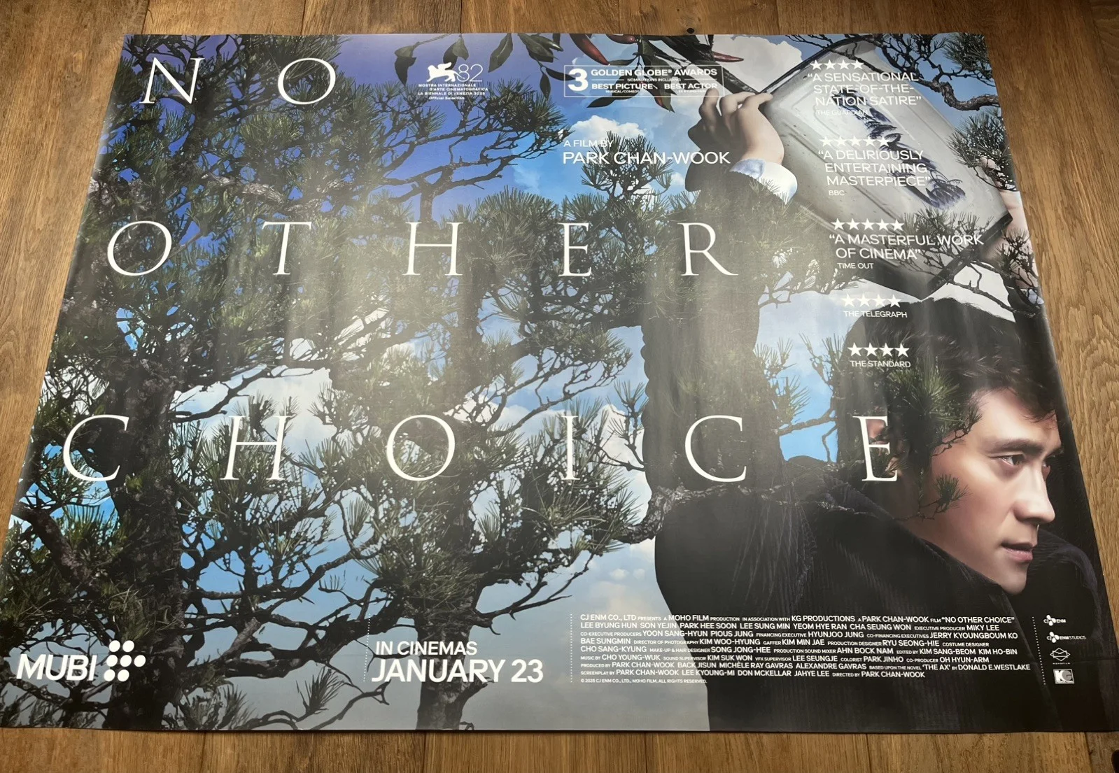 No Other Choice (2025), Park Chan-wook, Original UK Cinema Quad Poster 30"x40", изображение 4