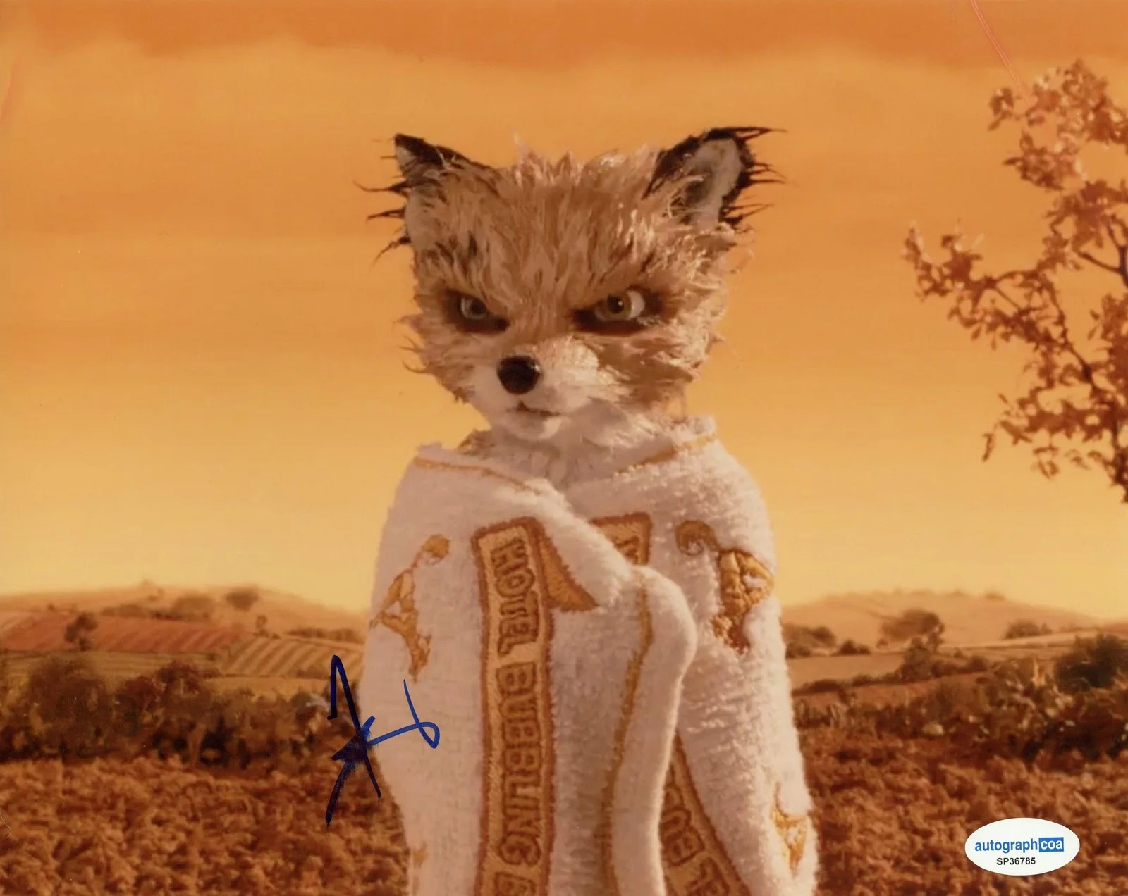 Jason Schwartzman — Jason Schwartzman "Fantastic Mr. Fox" AUTOGRAPH Signed 'Ash' 8x10 Photo ACOA, изображение 2