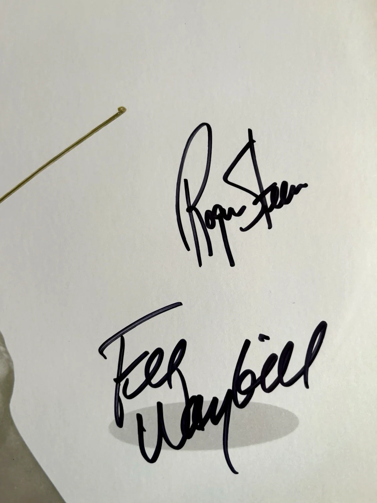 THE TUBES Signed OUTSIDE Vinyl RECORD JSA COA Fee Waybill STEEN Anderson PRINCE, image 3