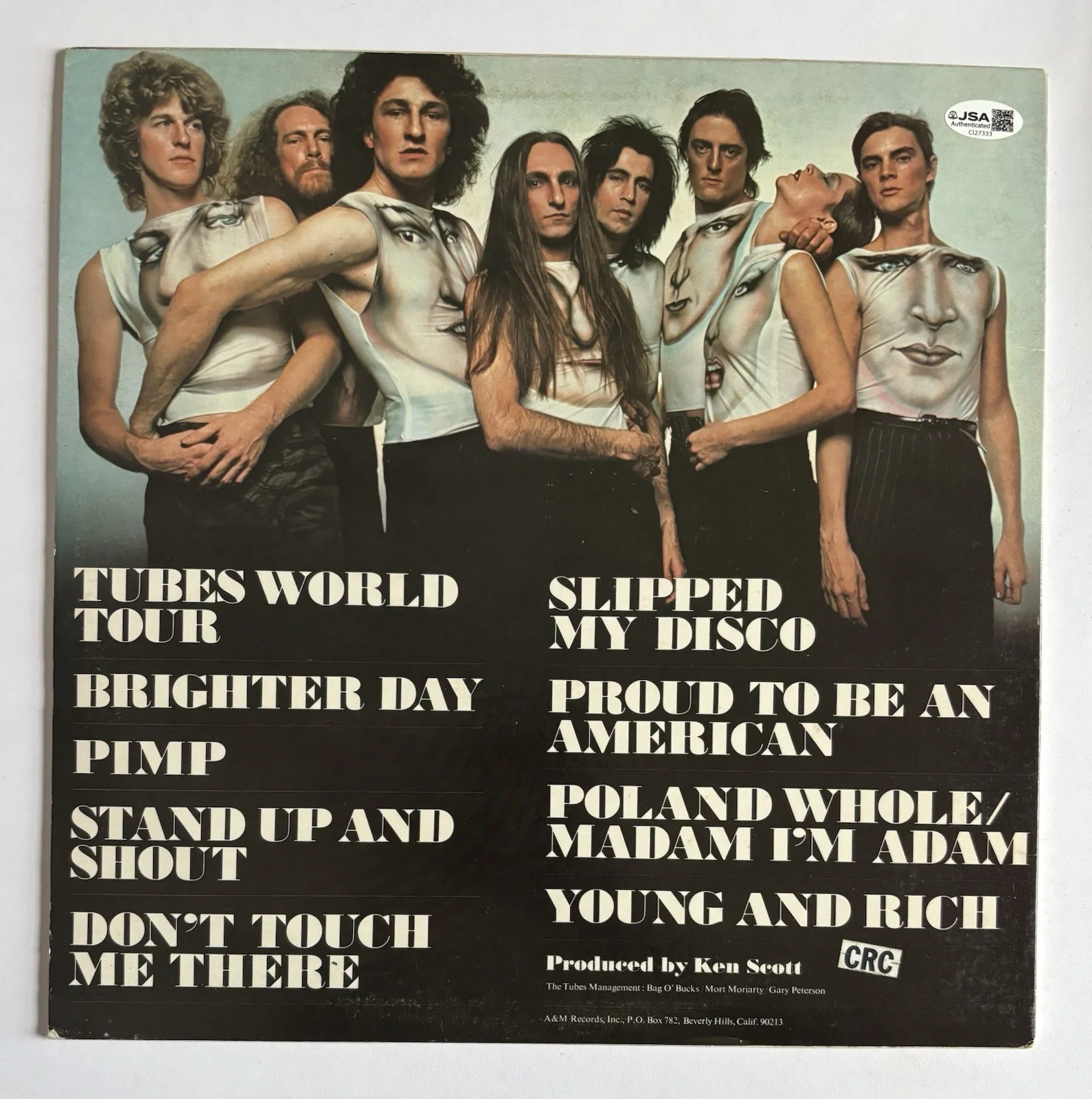 THE TUBES Signed YOUNG Vinyl LP RECORD JSA COA Fee Waybill STEEN Anderson PRINCE, изображение 5