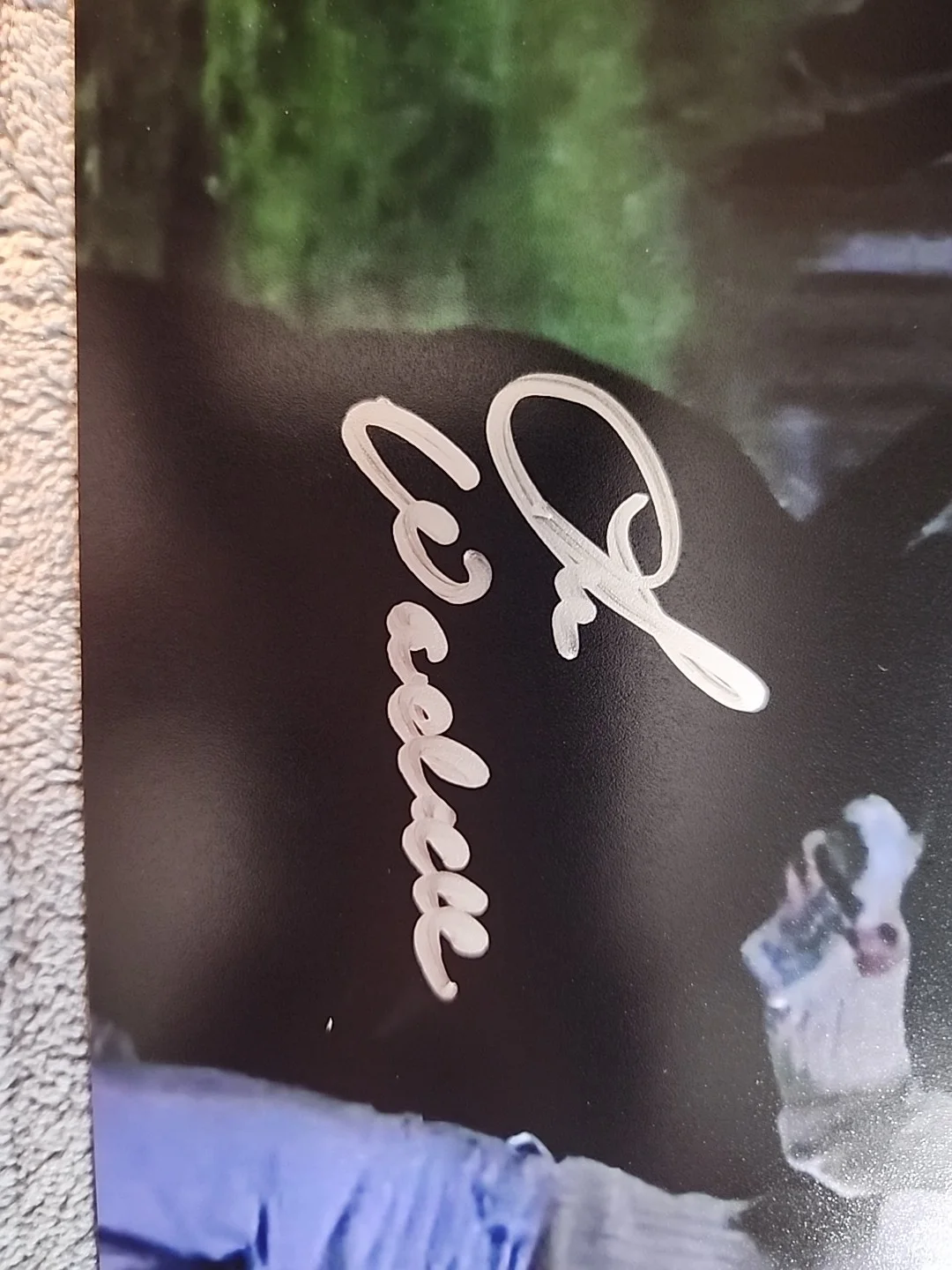 Lee Wadell 'Original Ghostface' Autographed 8x10 Photo JSA Authenticated, image 3