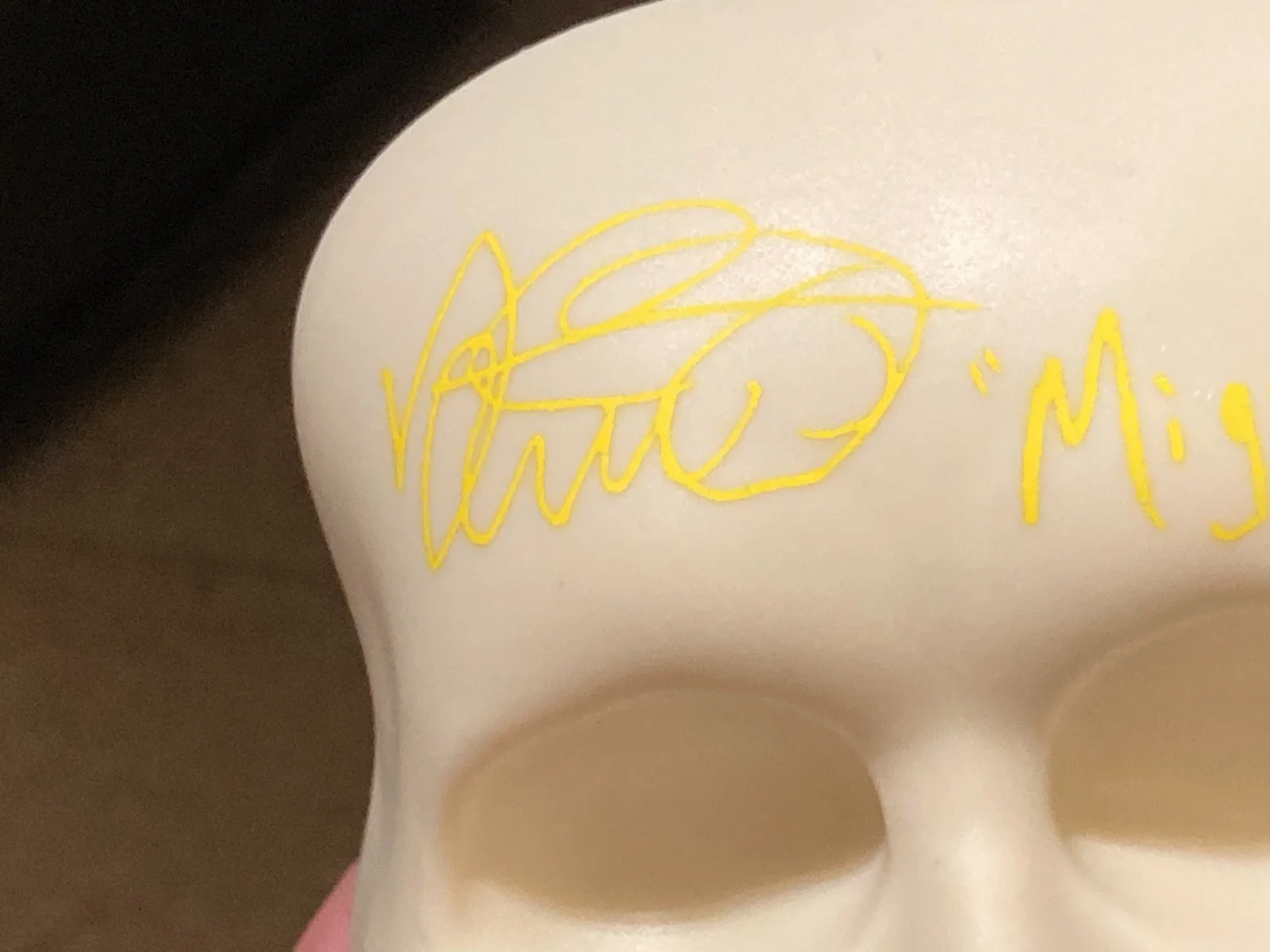 ANTHONY GONZALEZ Signed "Miguel" on Plastic Skull With COA - Pixar Movie COCO, image 4