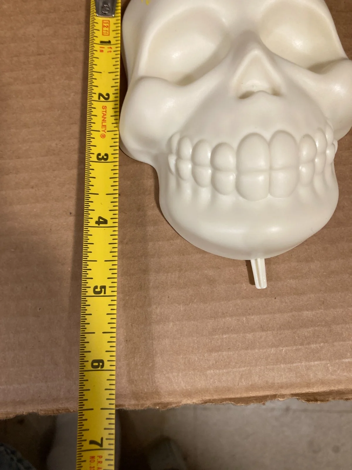 ANTHONY GONZALEZ Signed "Miguel" on Plastic Skull With COA - Pixar Movie COCO, image 5