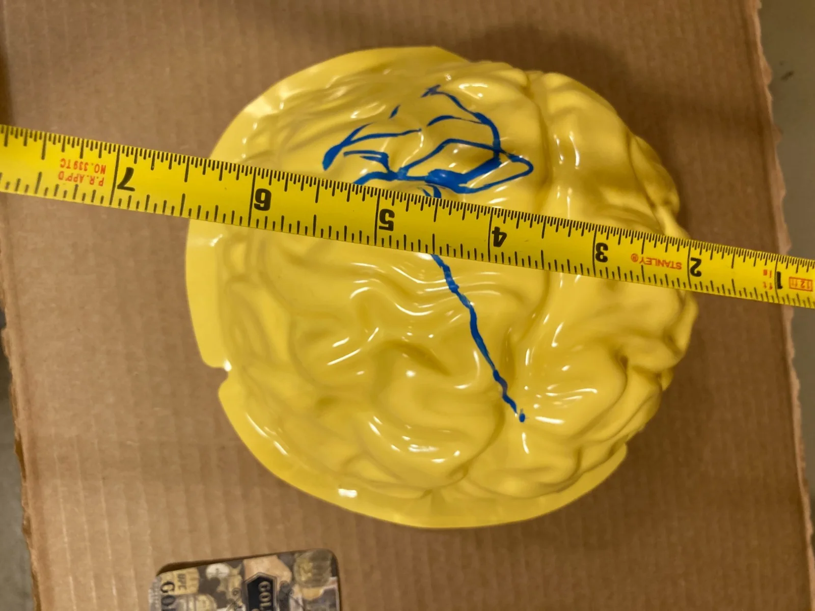 TIMOTHY BLAKE NELSON Signed Plastic Brain With COA - Captain America, THE LEADER, image 2