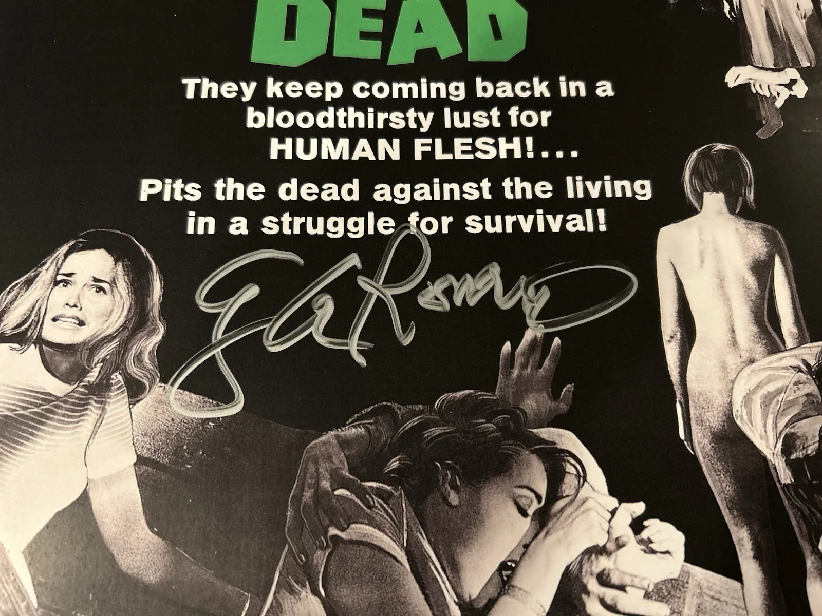 Director George Romero — George A. Romero Signed Night of the Living Dead 11x17 Poster COA-Signing Photo, изображение 2
