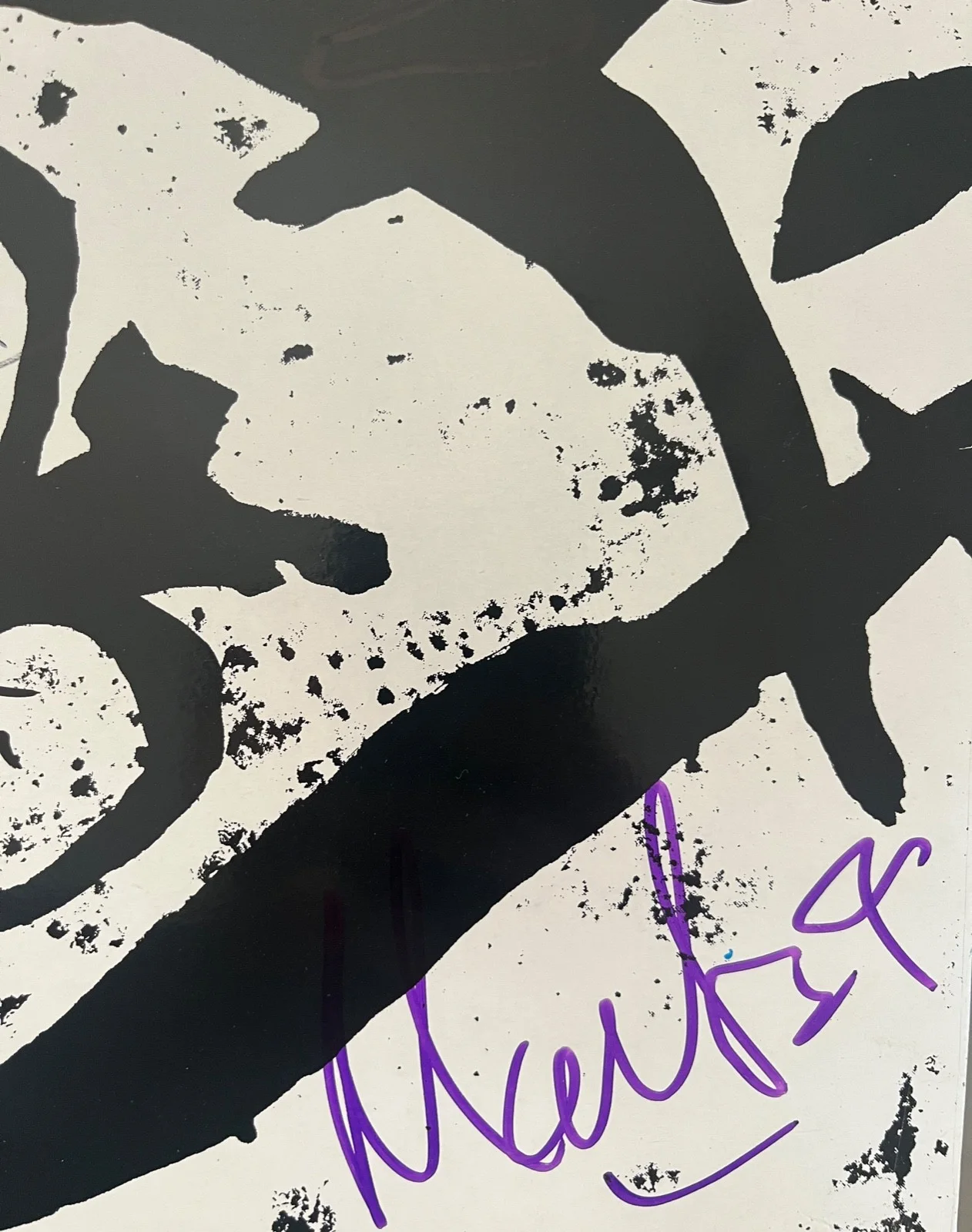 EMF : Schubert Dip fully signed vinyl original 5 autographed Lp ( Jesus Jones ), image 4