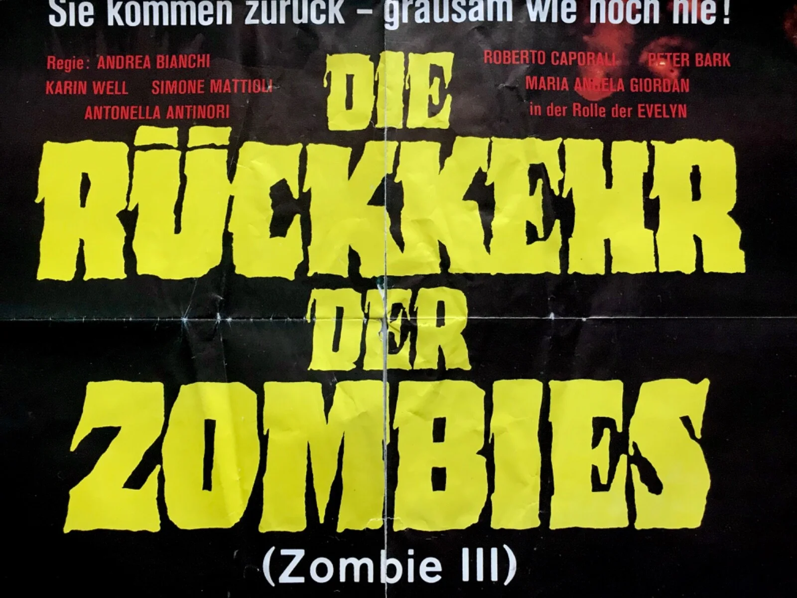 THE ZOMBIE DEAD Original HORROR 1981 Film Movie Poster ANDREA BIANCHI KAREN WELL, изображение 2